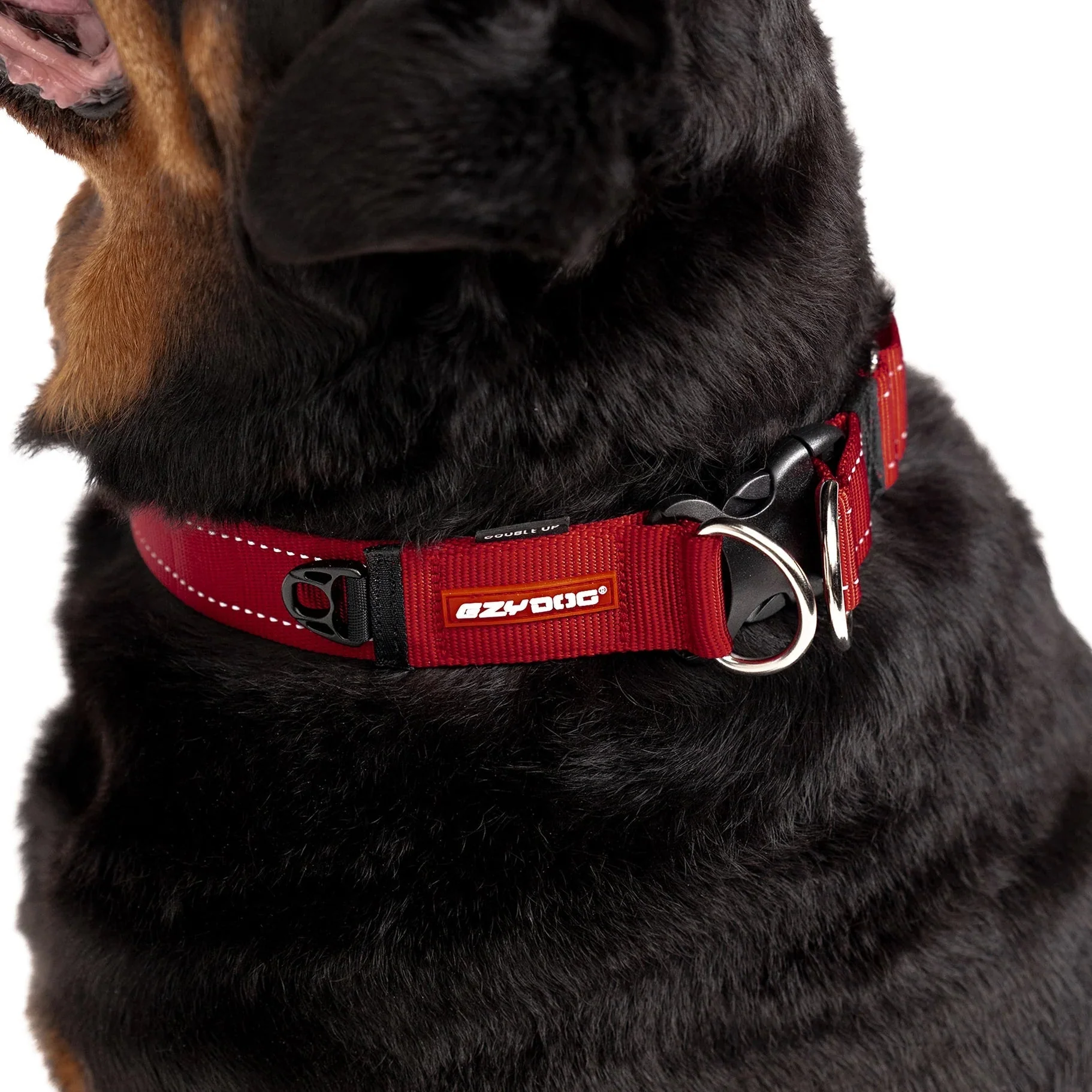 EzyDog Double Up Dog Collar Pink Small - Image 4