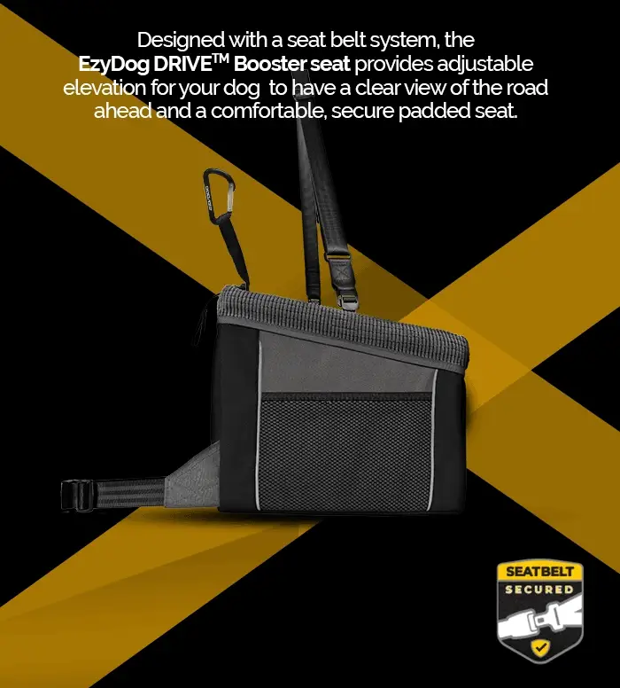 EzyDog Drive Booster Seat for Dogs - Image 3