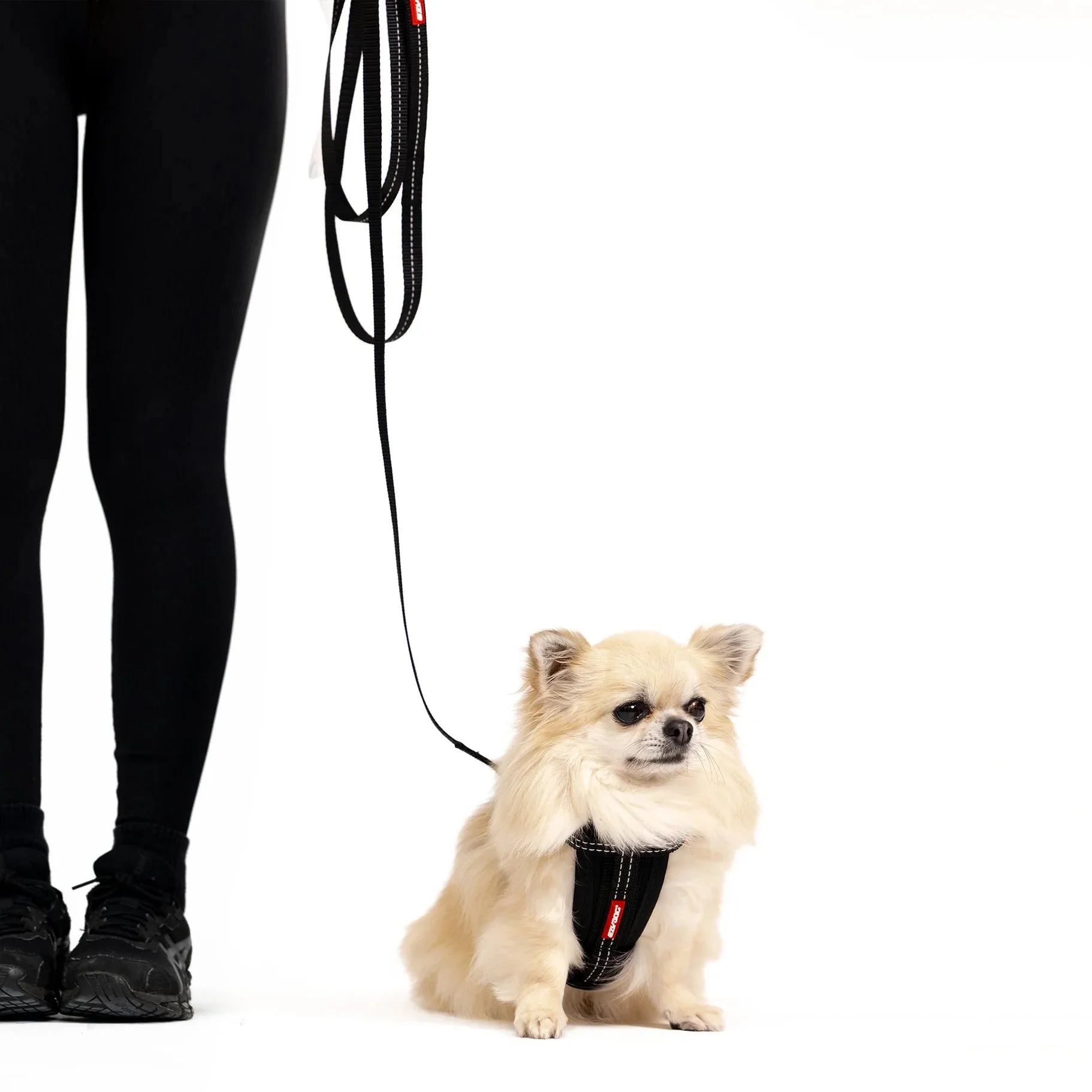 EzyDog Essential Lite Dog Lead Black 72inch - Image 3