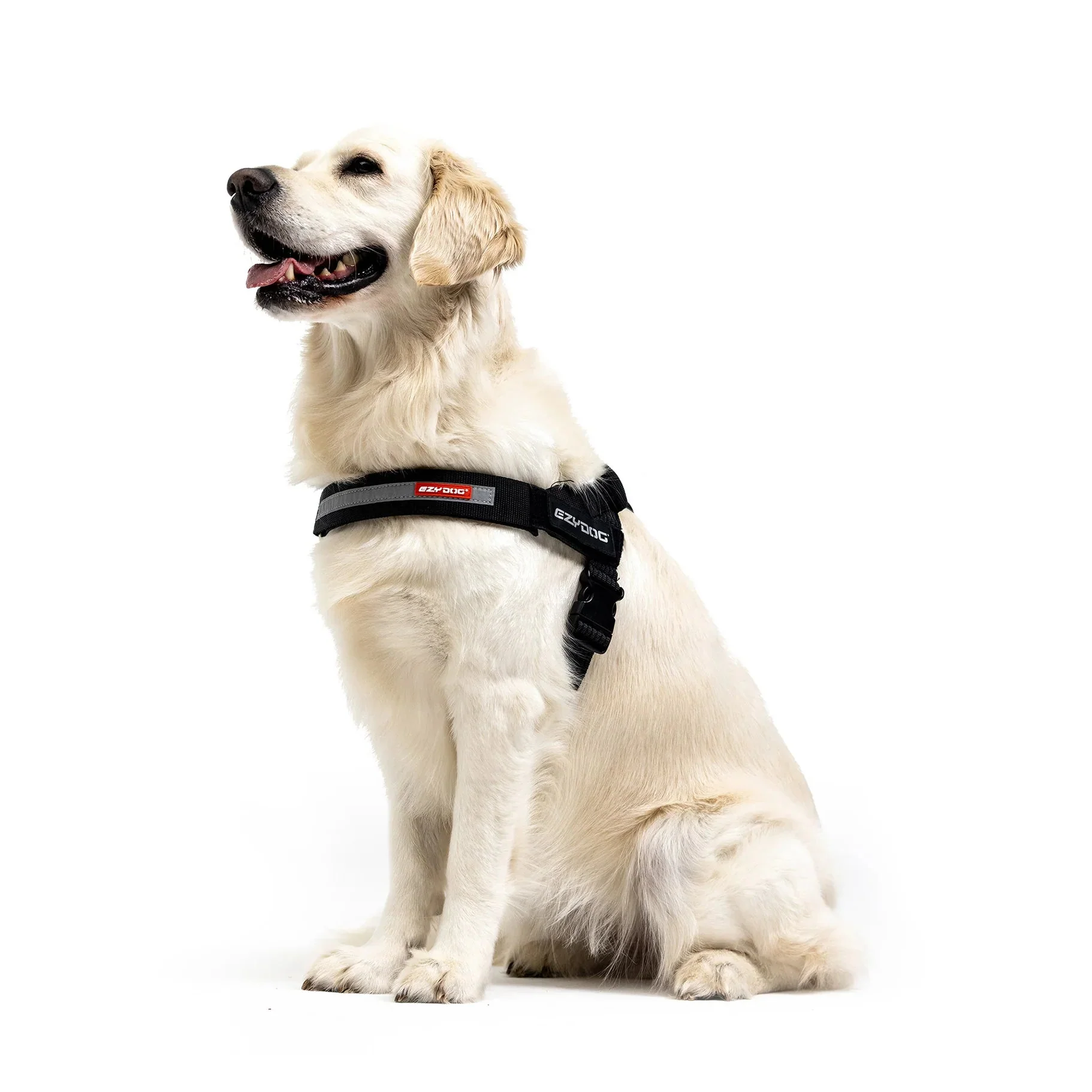 EzyDog Express Camo Dog Harness Extra Small - Image 5