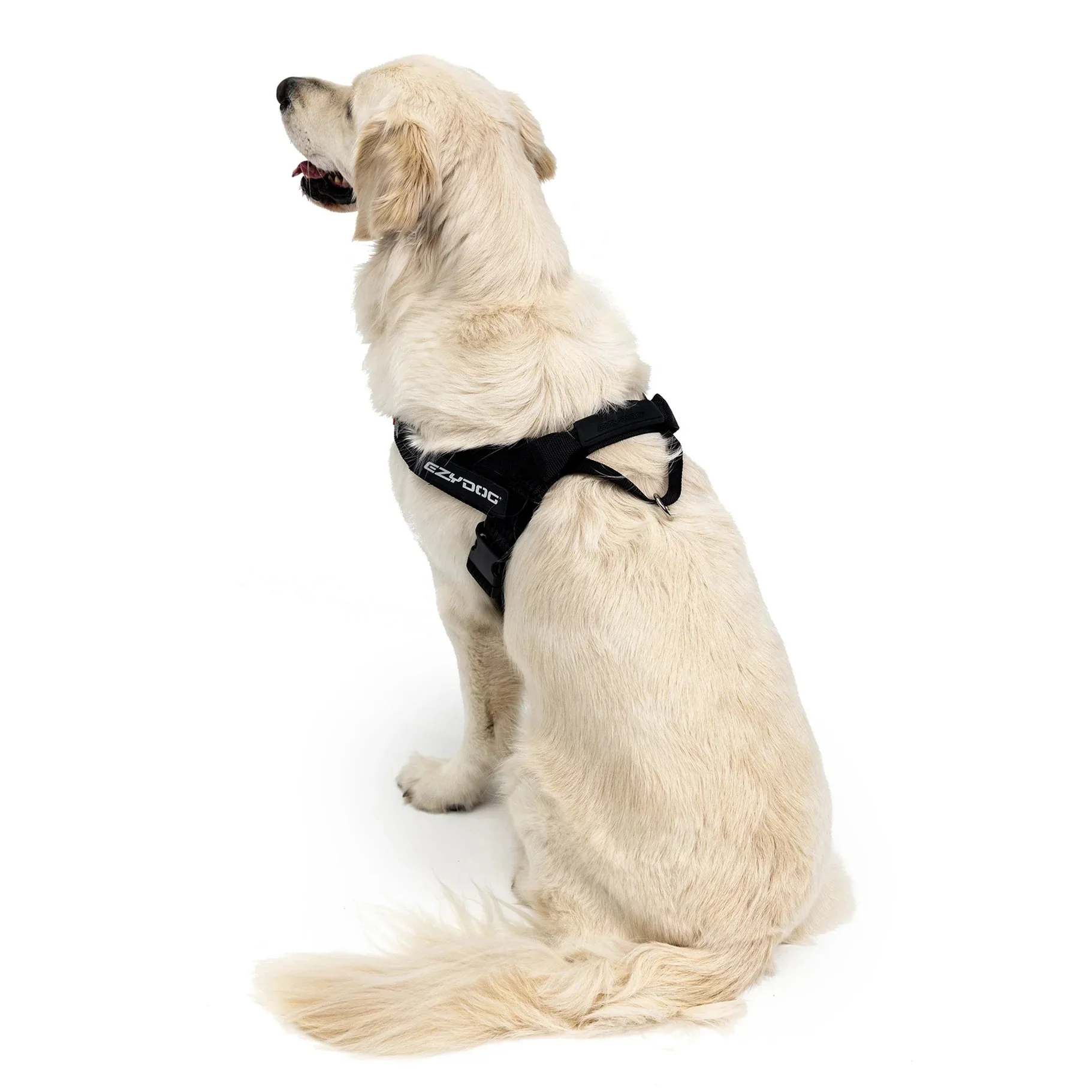 EzyDog Express Pink Dog Harness Extra Extra Small - Image 6