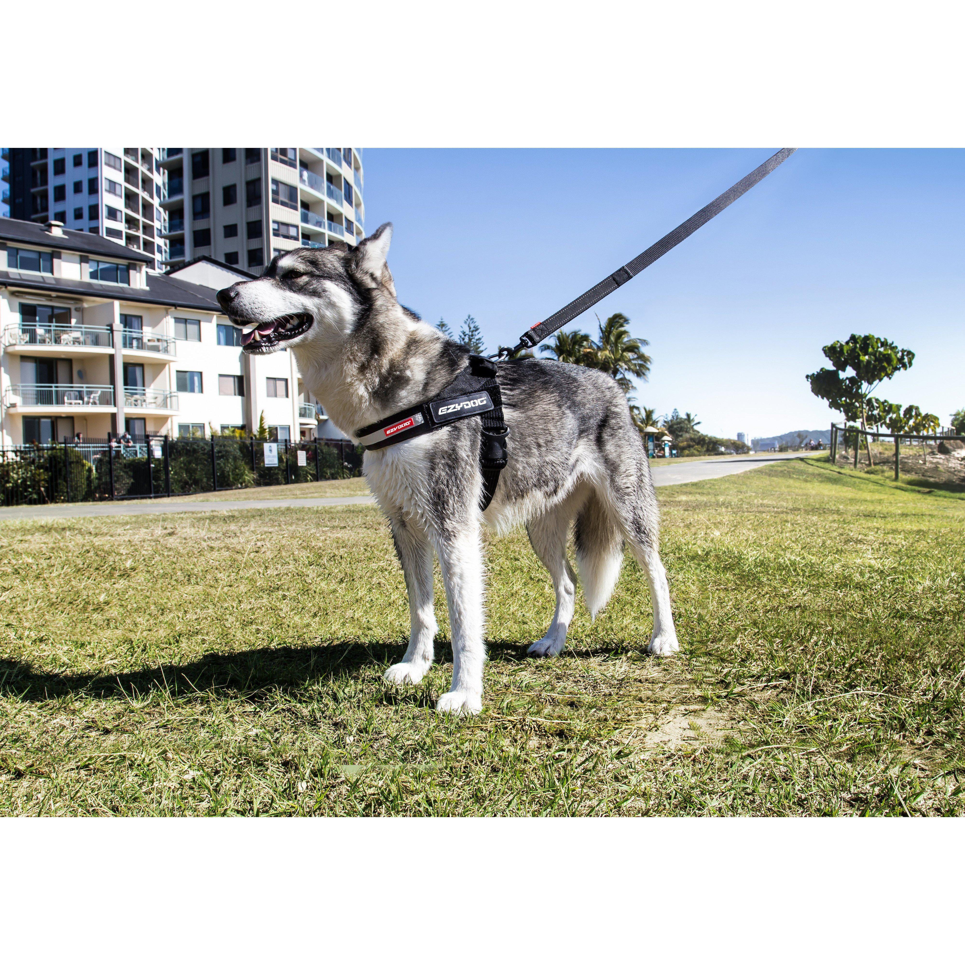 EzyDog Express Red Dog Harness Large - Image 5