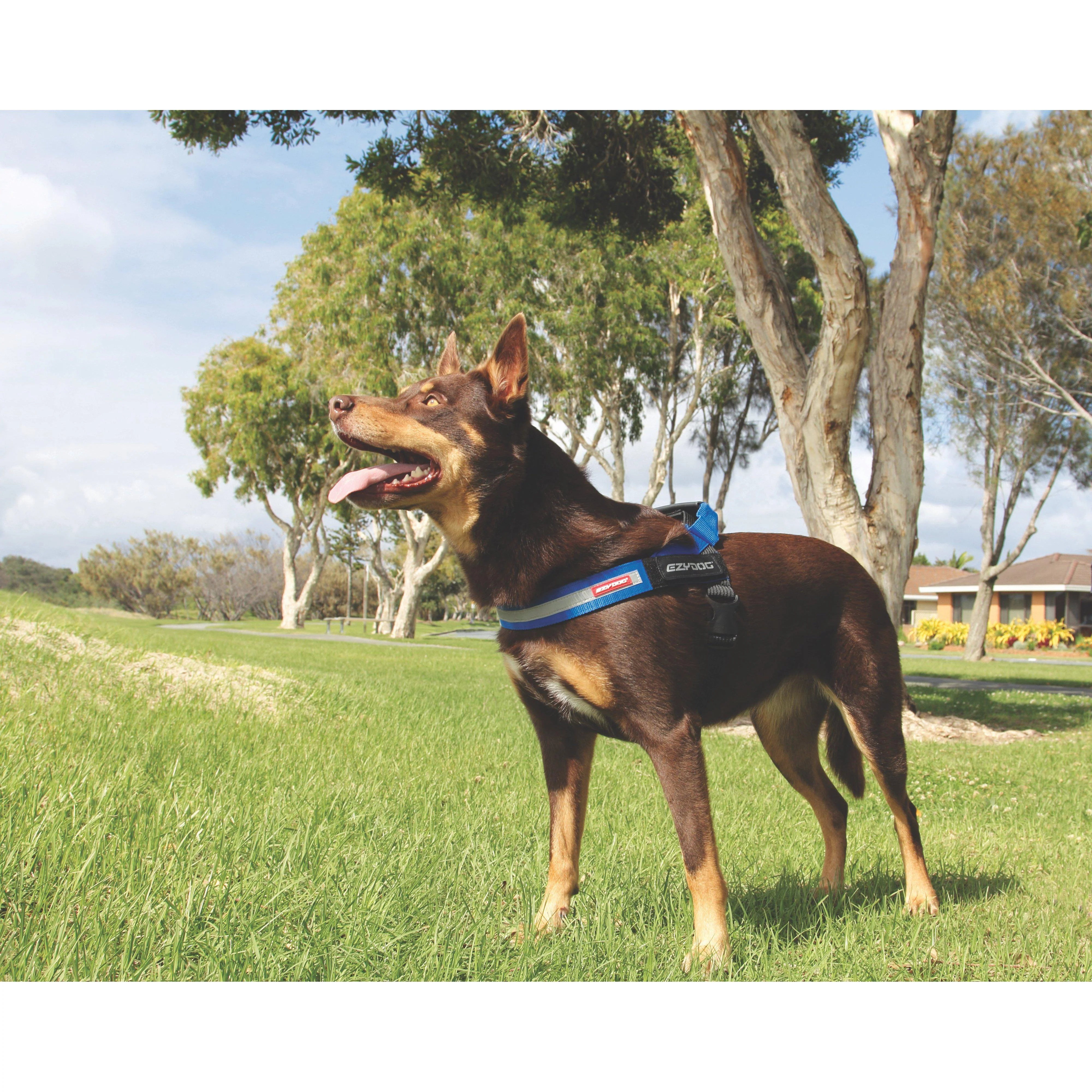 EzyDog Express Red Dog Harness Small - Image 4
