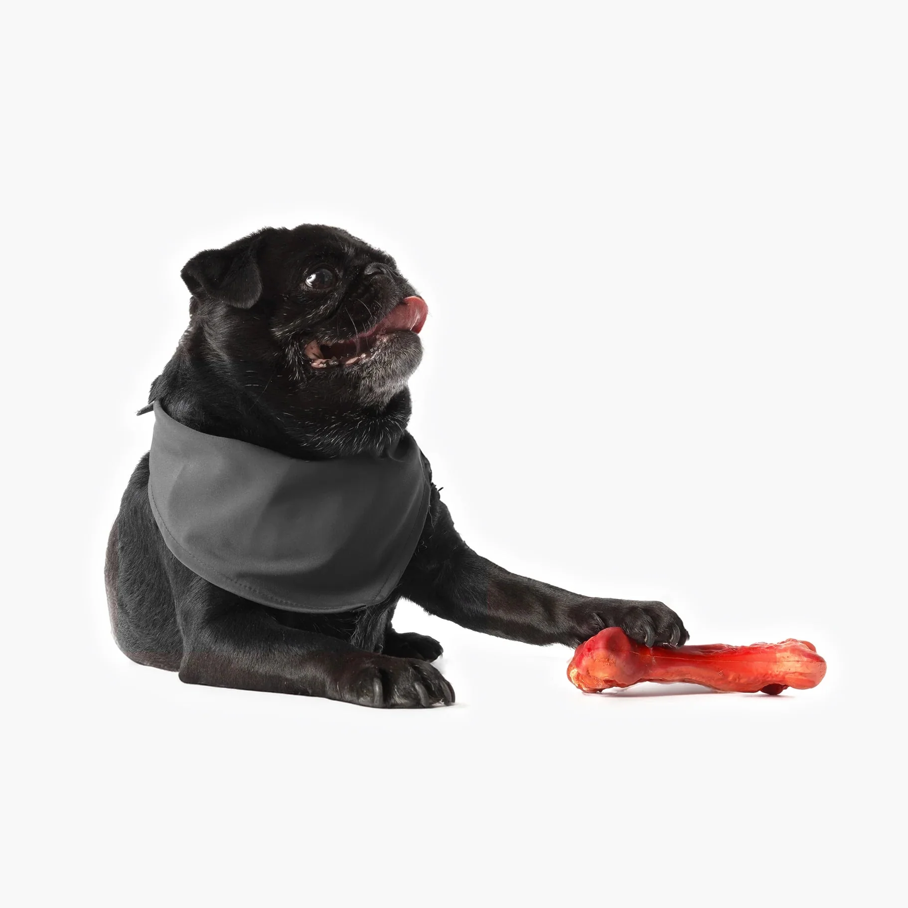 EzyDog Ezy Bones Beef Infused Dog Toy Medium - Image 4