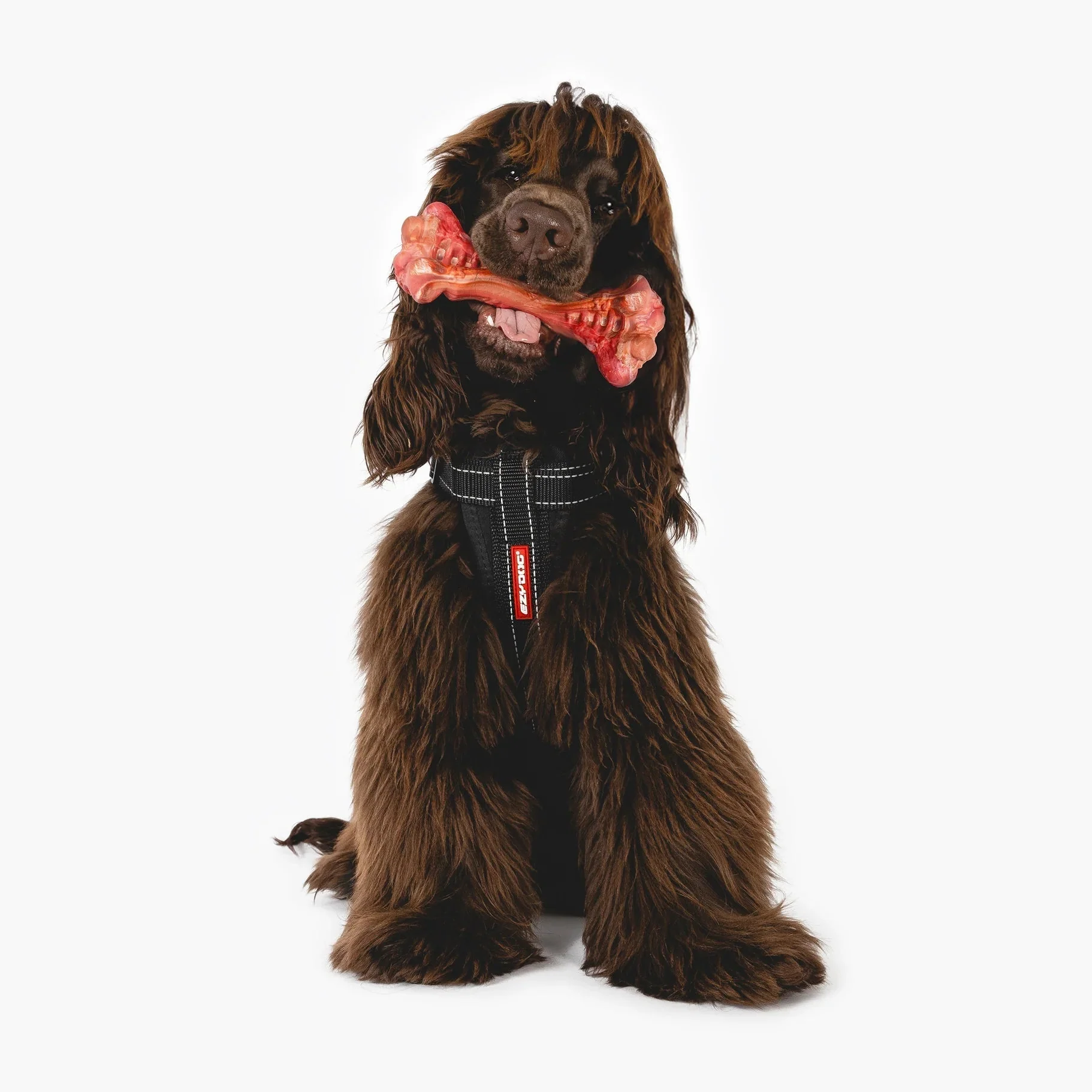 EzyDog Ezy Bones Beef Infused Dog Toy Medium - Image 5