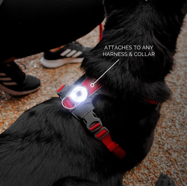 EzyDog Go-2 Dog Safety Light Multicolour - Image 4