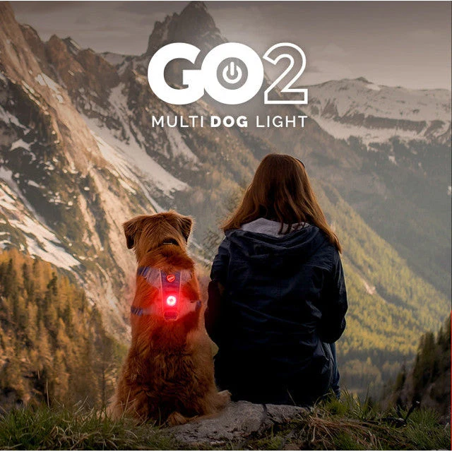 EzyDog Go-2 Dog Safety Light Multicolour - Image 6