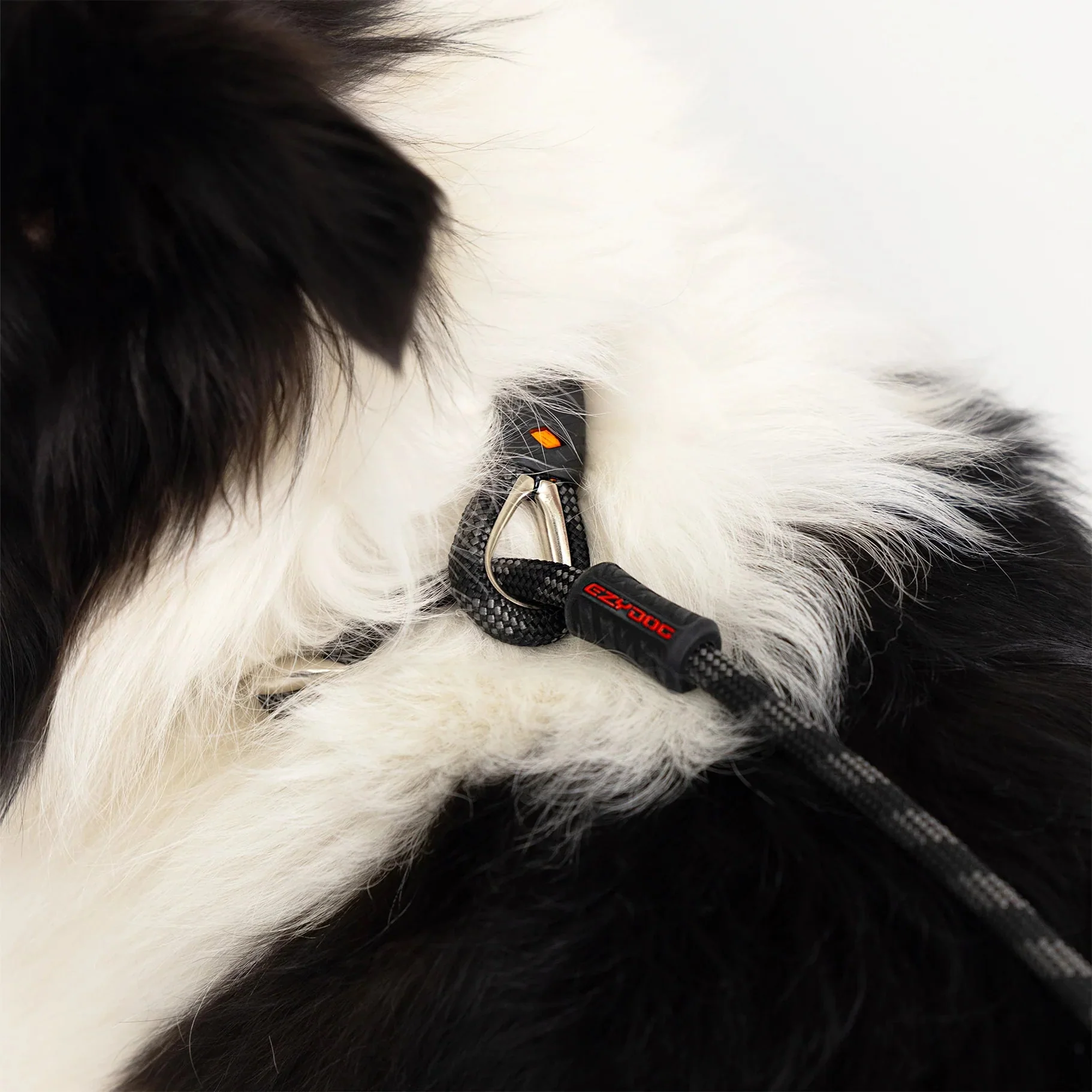 EzyDog Luca Dog Lead Blue 9mm - Image 5