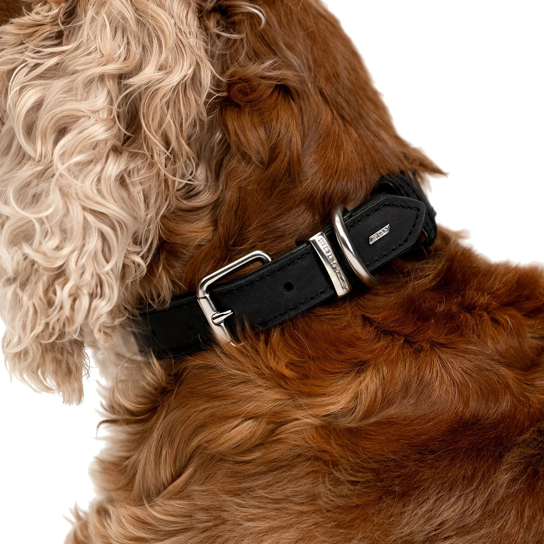 EzyDog Oxford Leather Dog Collar Blonde and Lilac Large - Image 4