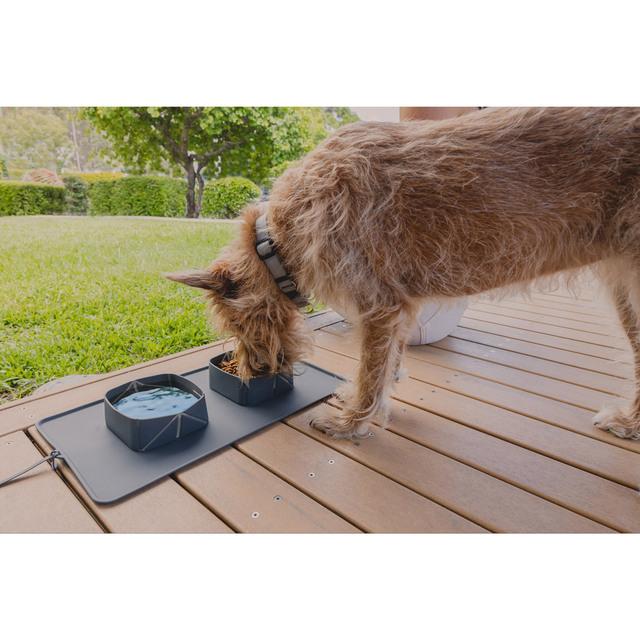 EzyDog Roll-a-Bowl Travel Dog Bowl - Image 5