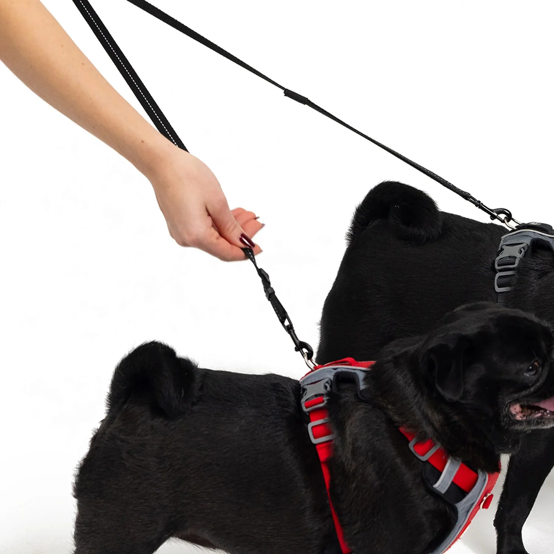 EzyDog Soft Touch Adjustable Lite Coupler Black 35-60cm - Image 3