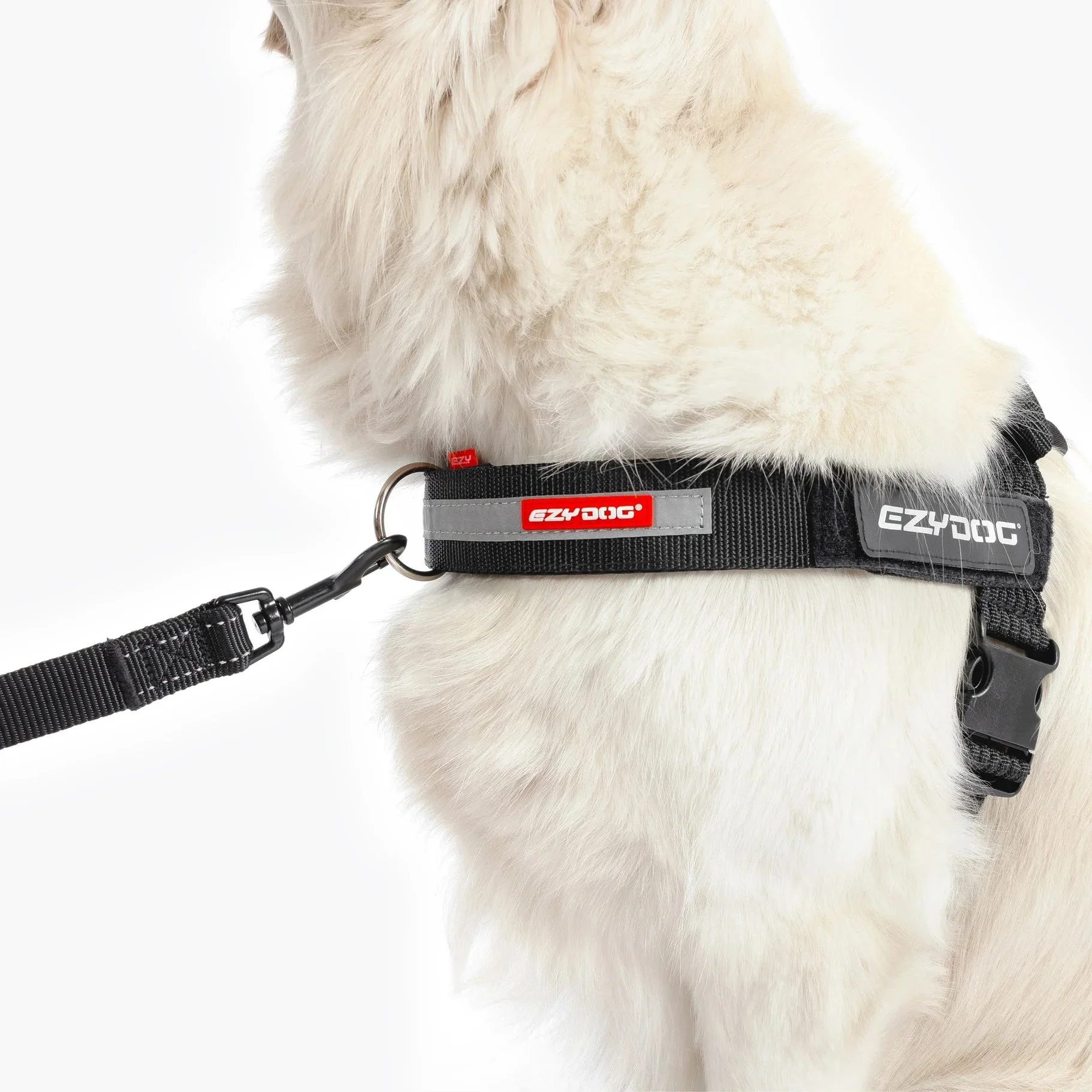 EzyDog Upfront D Ring Accessory for Convert and Express Harness 50mm - Image 4