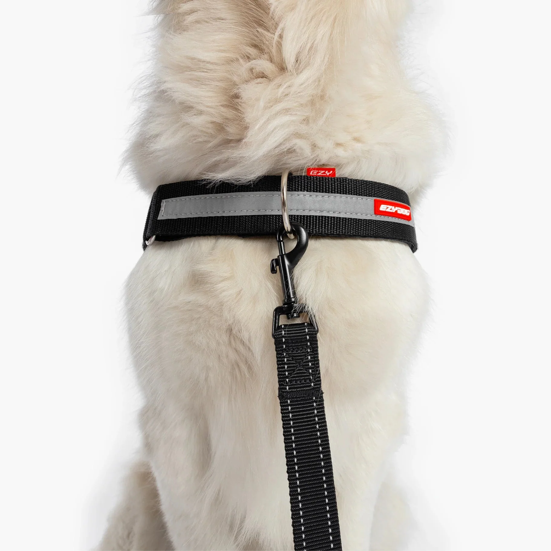 EzyDog Upfront D Ring Accessory for Convert and Express Harness 50mm - Image 5