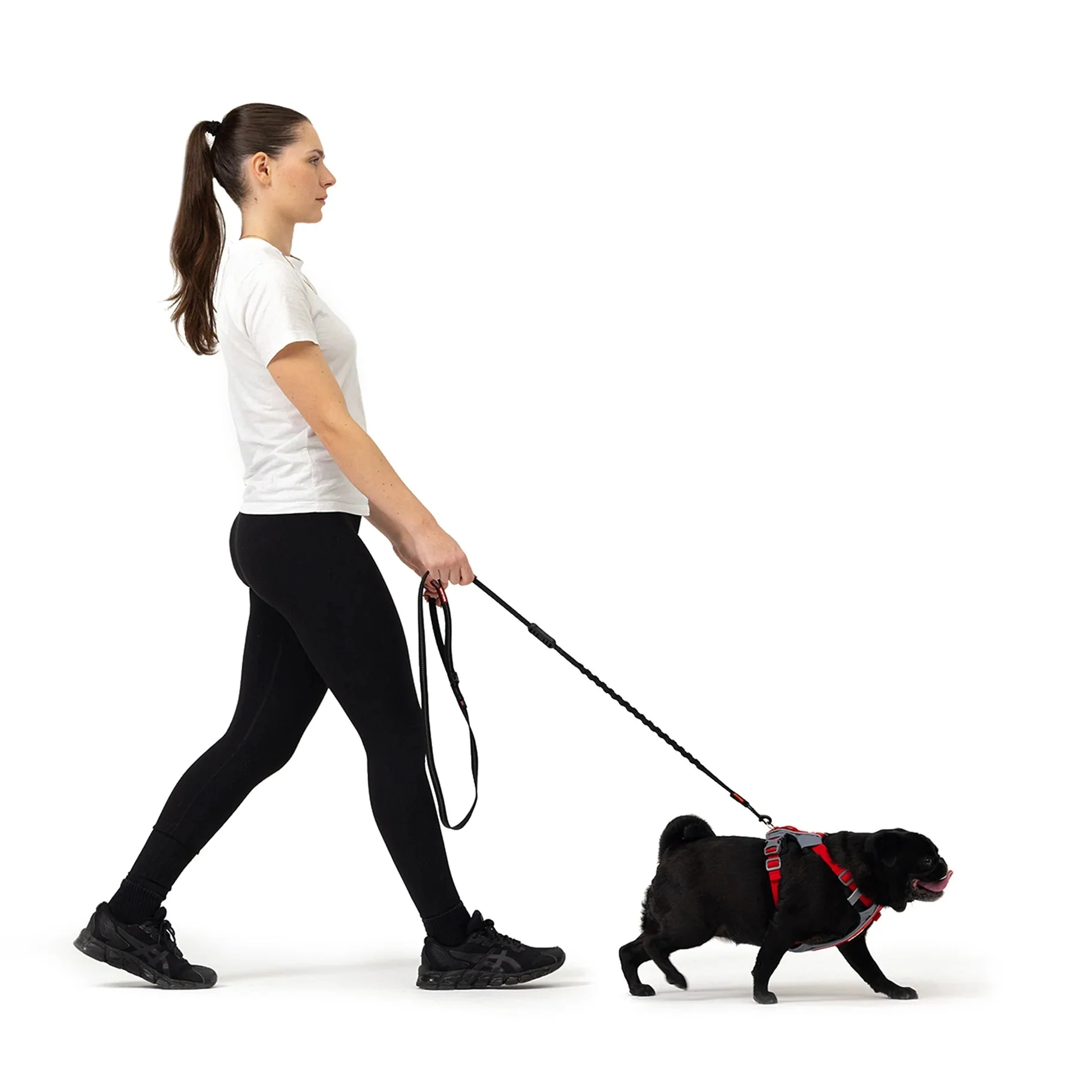 EzyDog X Link Black Dog Harness Large - Image 5