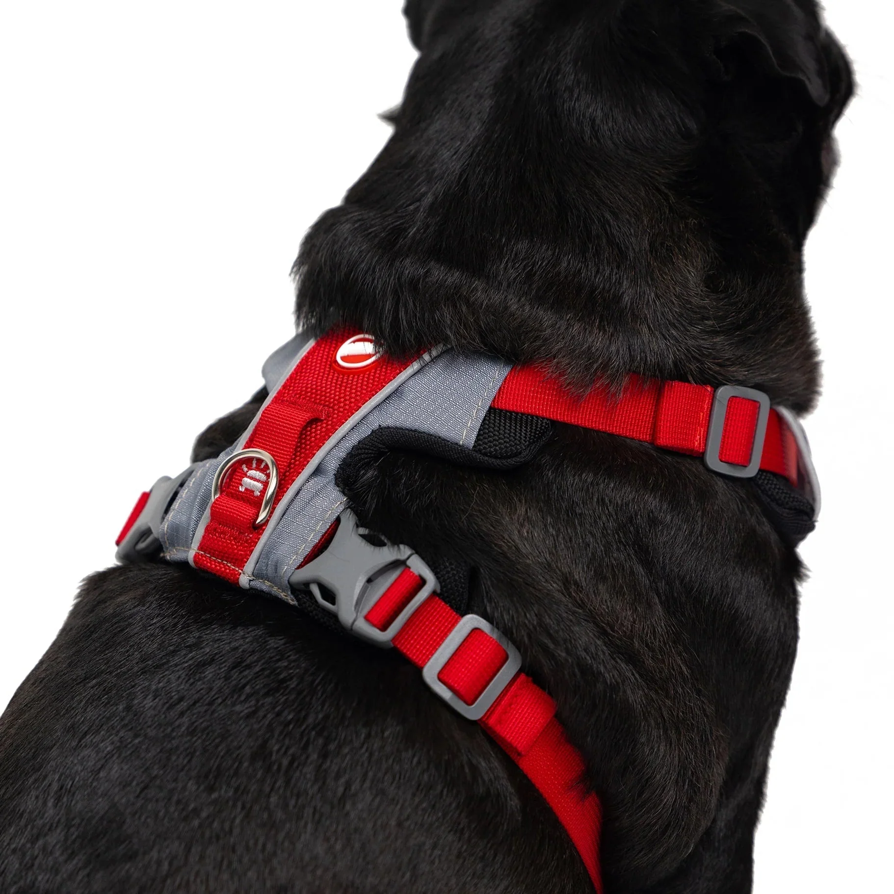 EzyDog X Link Black Dog Harness Large - Image 8