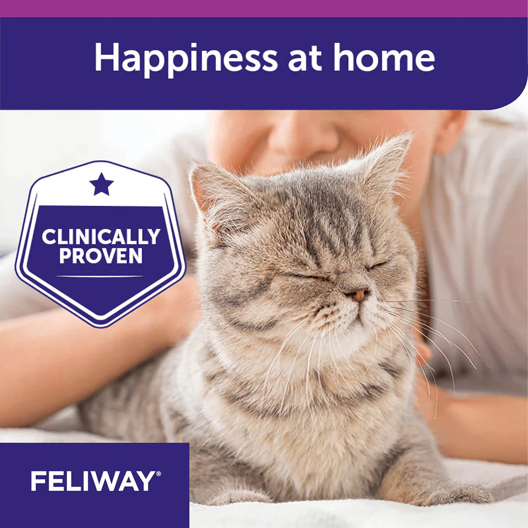 Feliway Pheromone Diffuser Refill for Cats 48ml 3 Pack - Image 7
