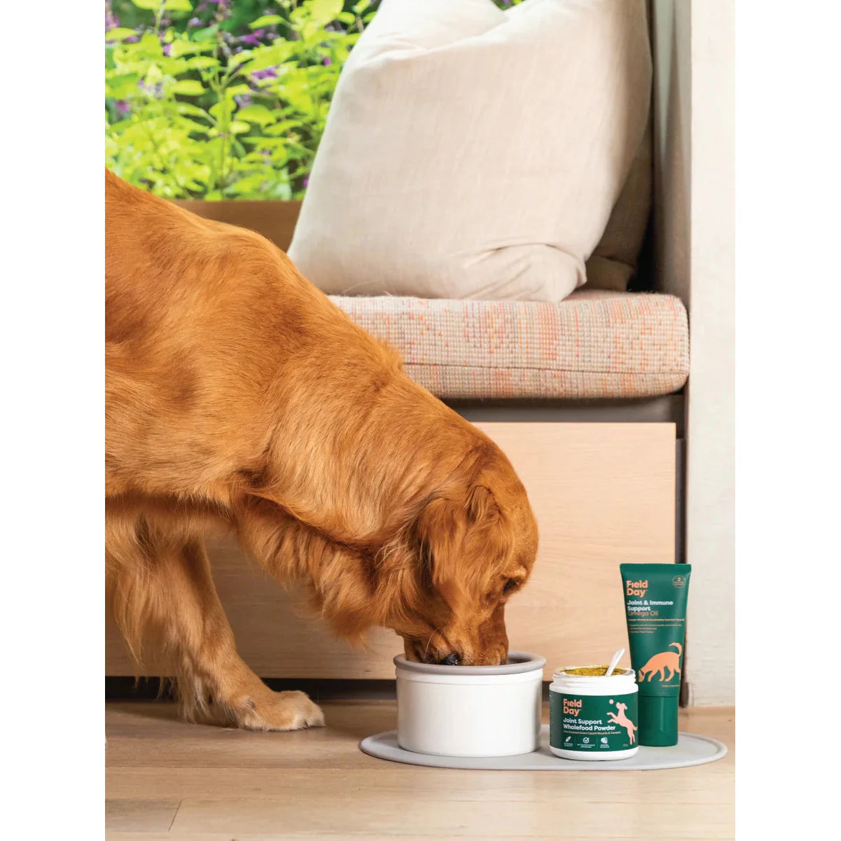 Field Day Joint Support Wholefood Powder Supplement 220g - Image 5