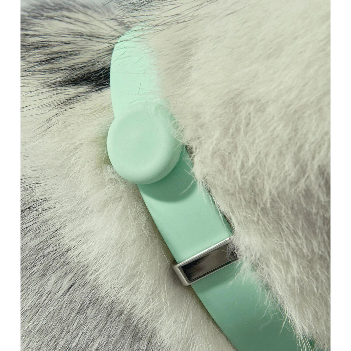 frank green Blushed Dog Safety Light Medium - Image 2