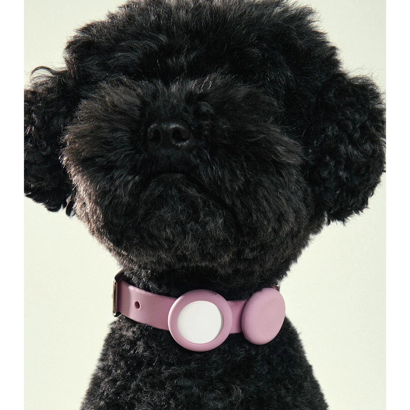 frank green Khaki Dog Safety Light Large - Image 2