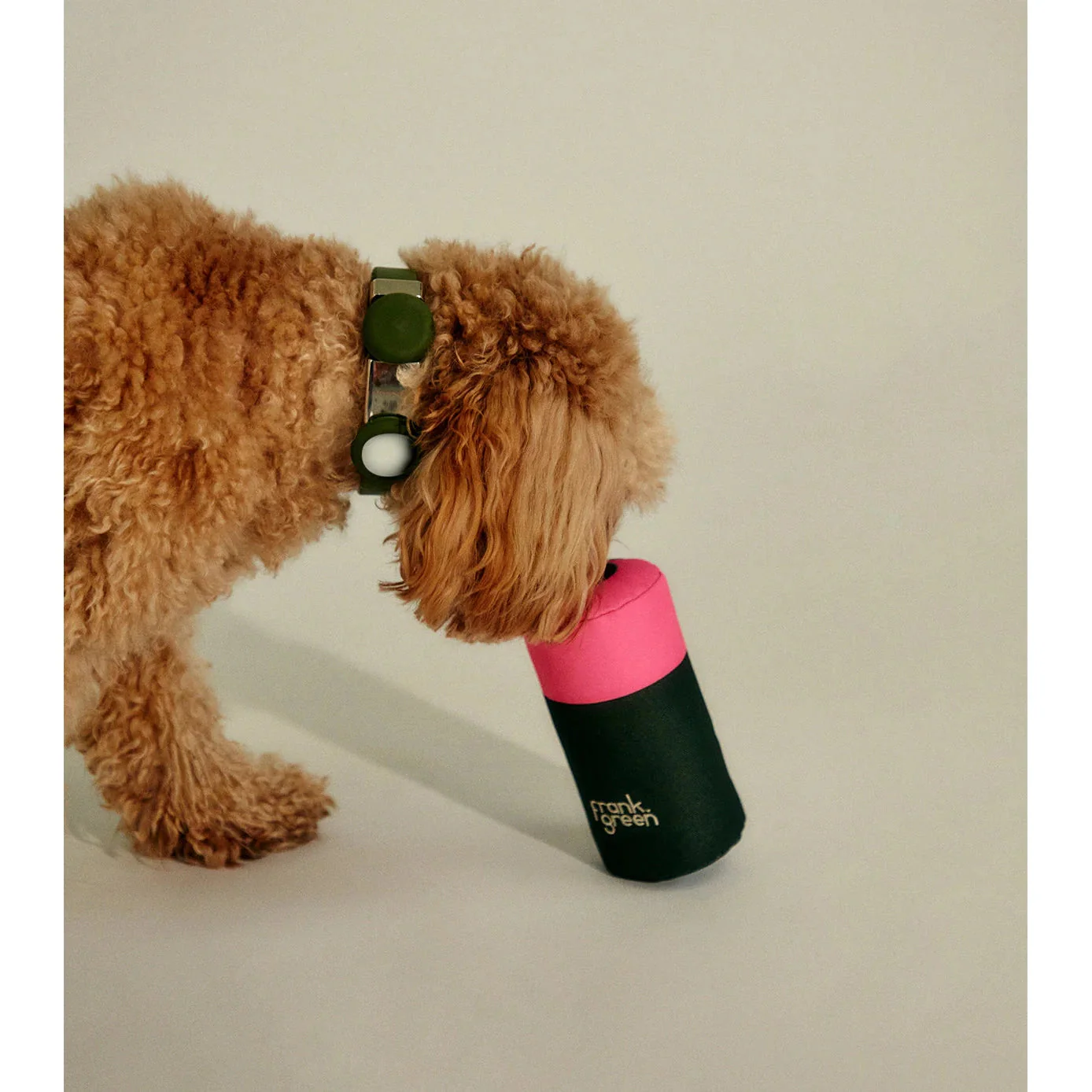 frank green Lilac Haze and Neon Orange Squeaky Bottle Dog Toy - Image 3