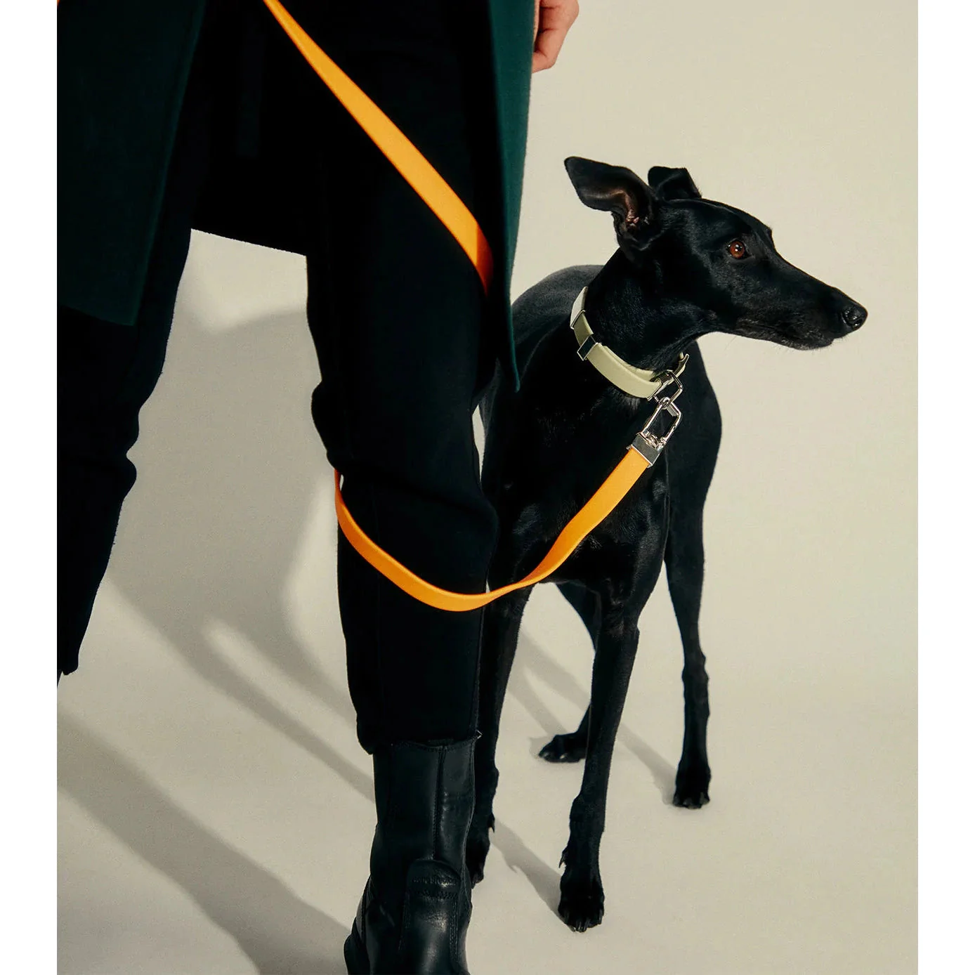 frank green Lilac Haze Dog Lead - Image 2