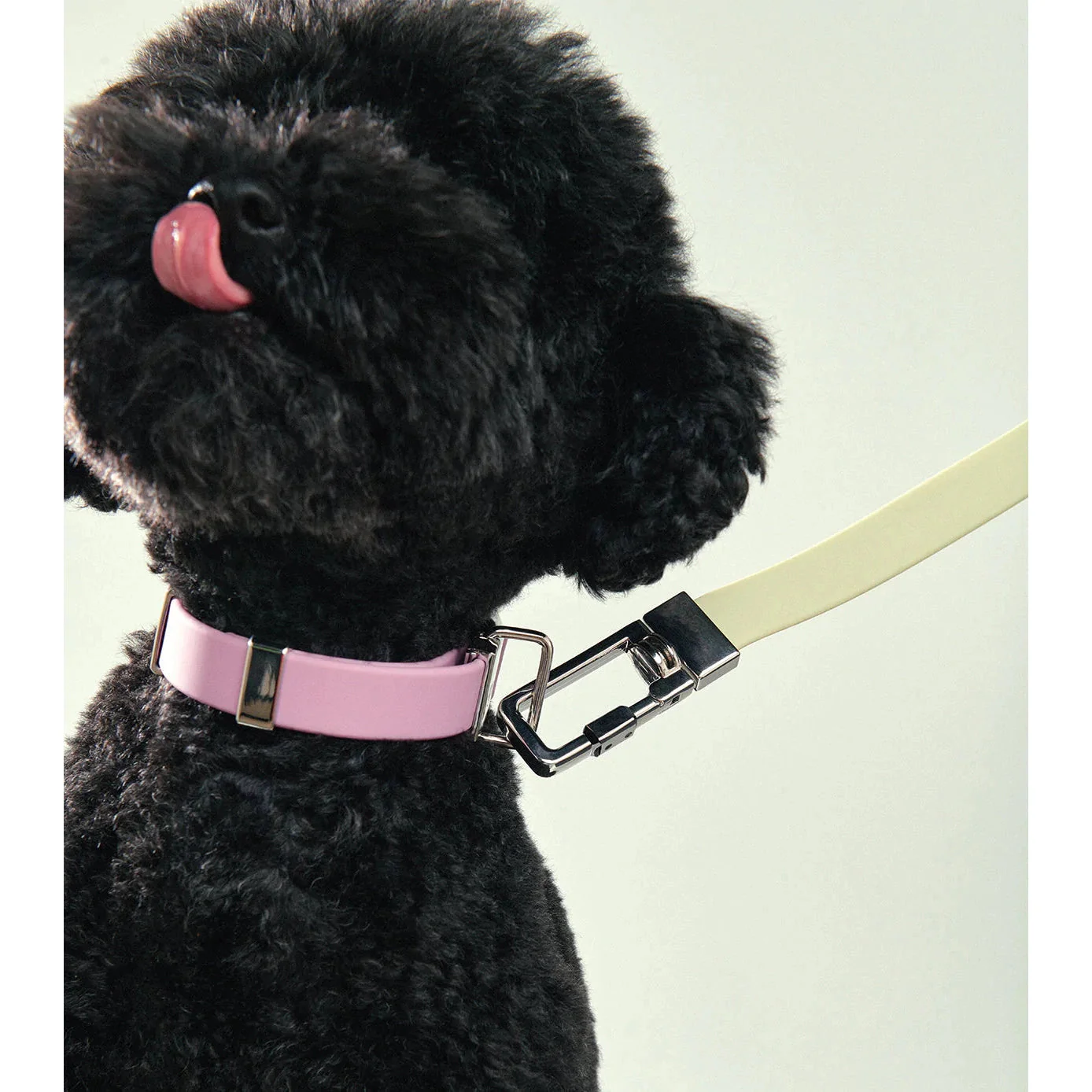 frank green Lilac Haze Dog Lead - Image 3