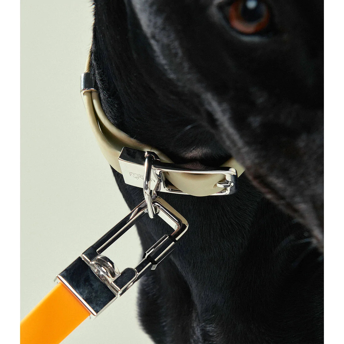 frank green Lilac Haze Dog Lead - Image 5