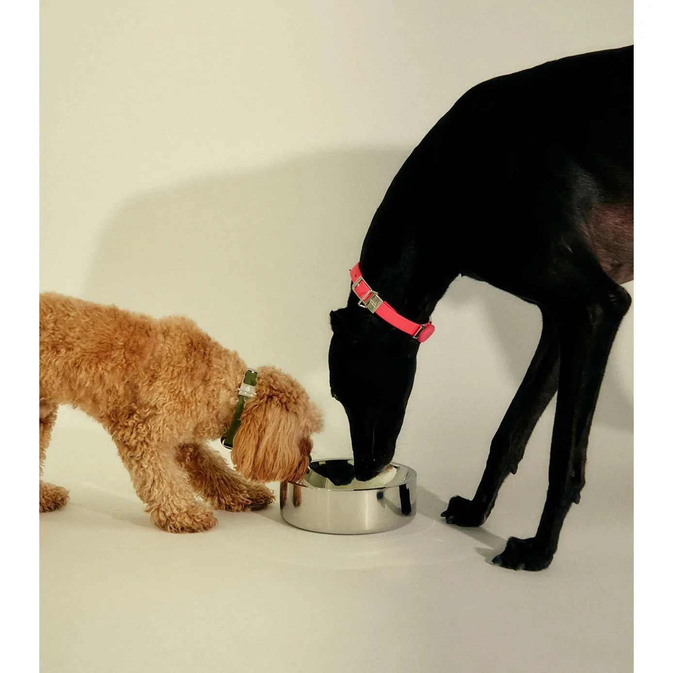 frank green Stainless Steel Dog Bowl Large - Image 5