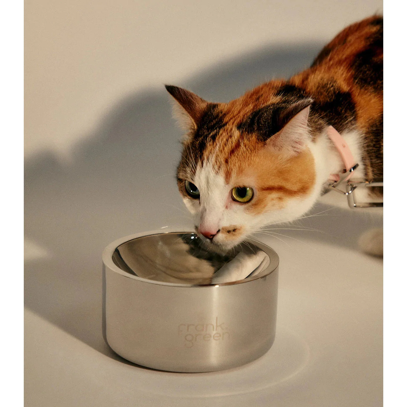 frank green Stainless Steel Dog Bowl Small - Image 4