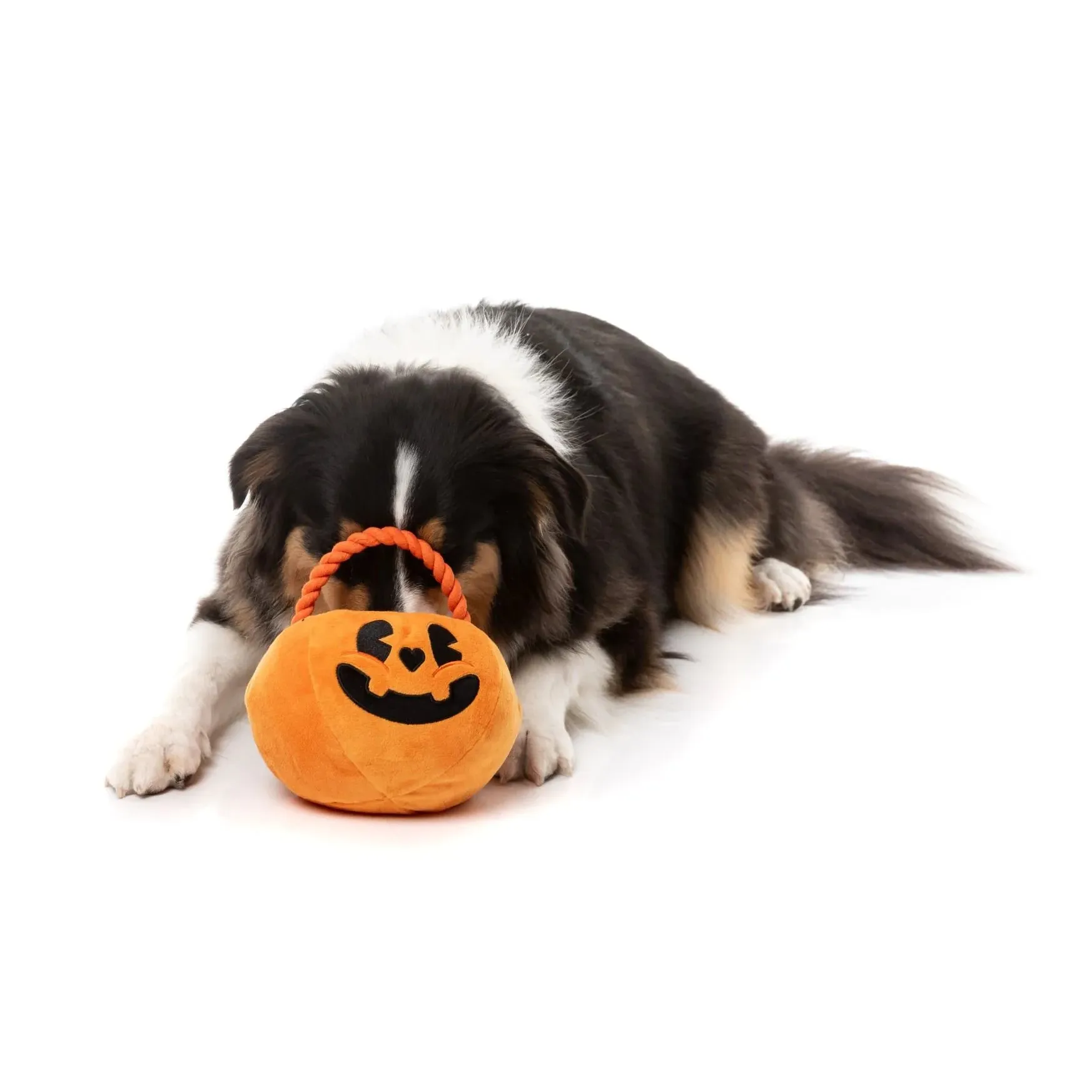 Fuzzyard Halloween Trick or Treats Basket Dog Toy *** - Image 3