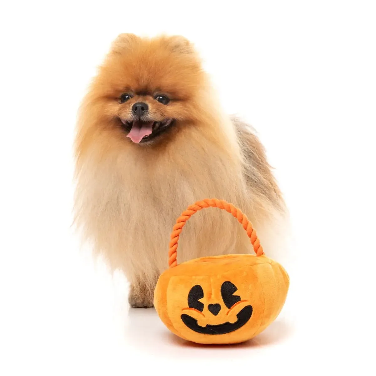 Fuzzyard Halloween Trick or Treats Basket Dog Toy *** - Image 4