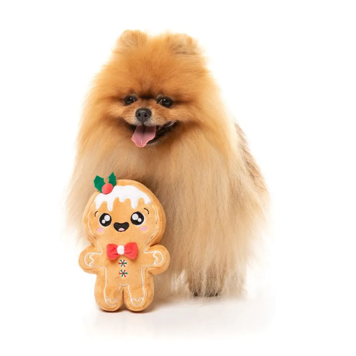 Fuzzyard Christmas Mistle-Dough Dog Toy Large *** - Image 3
