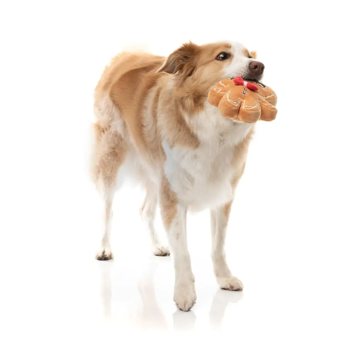Fuzzyard Christmas Mistle-Dough Dog Toy Large *** - Image 5