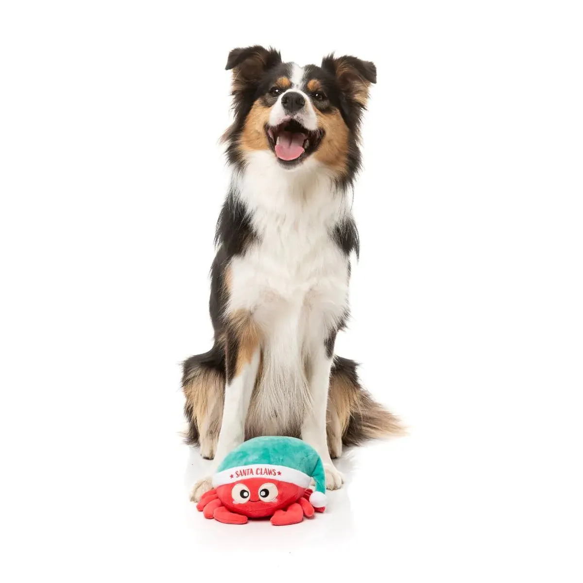 Fuzzyard Christmas Santa Claws Dog Toy *** - Image 3