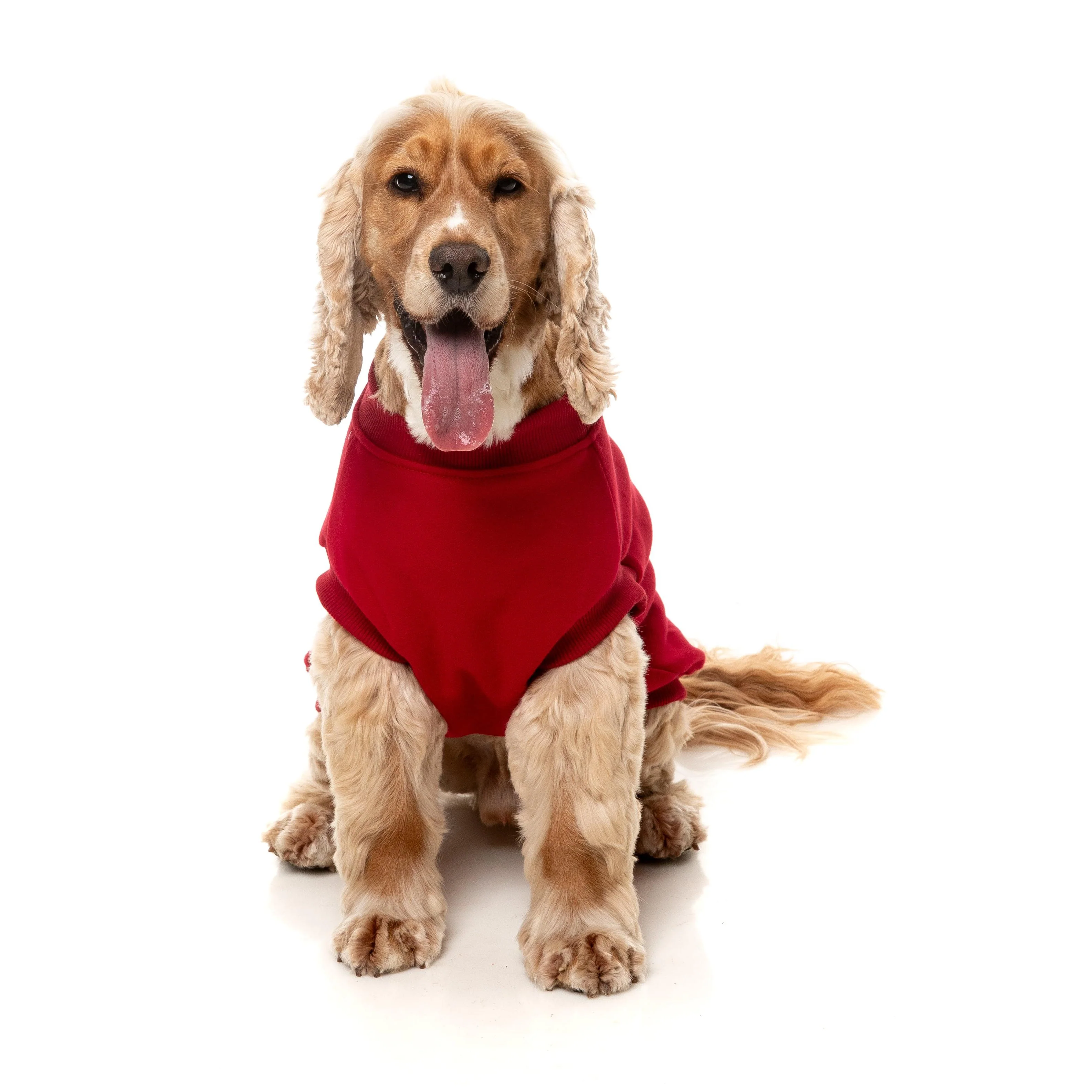 FuzzYard Dog Apparel Allday 25 Sweater Red Size 1 *** - Image 5