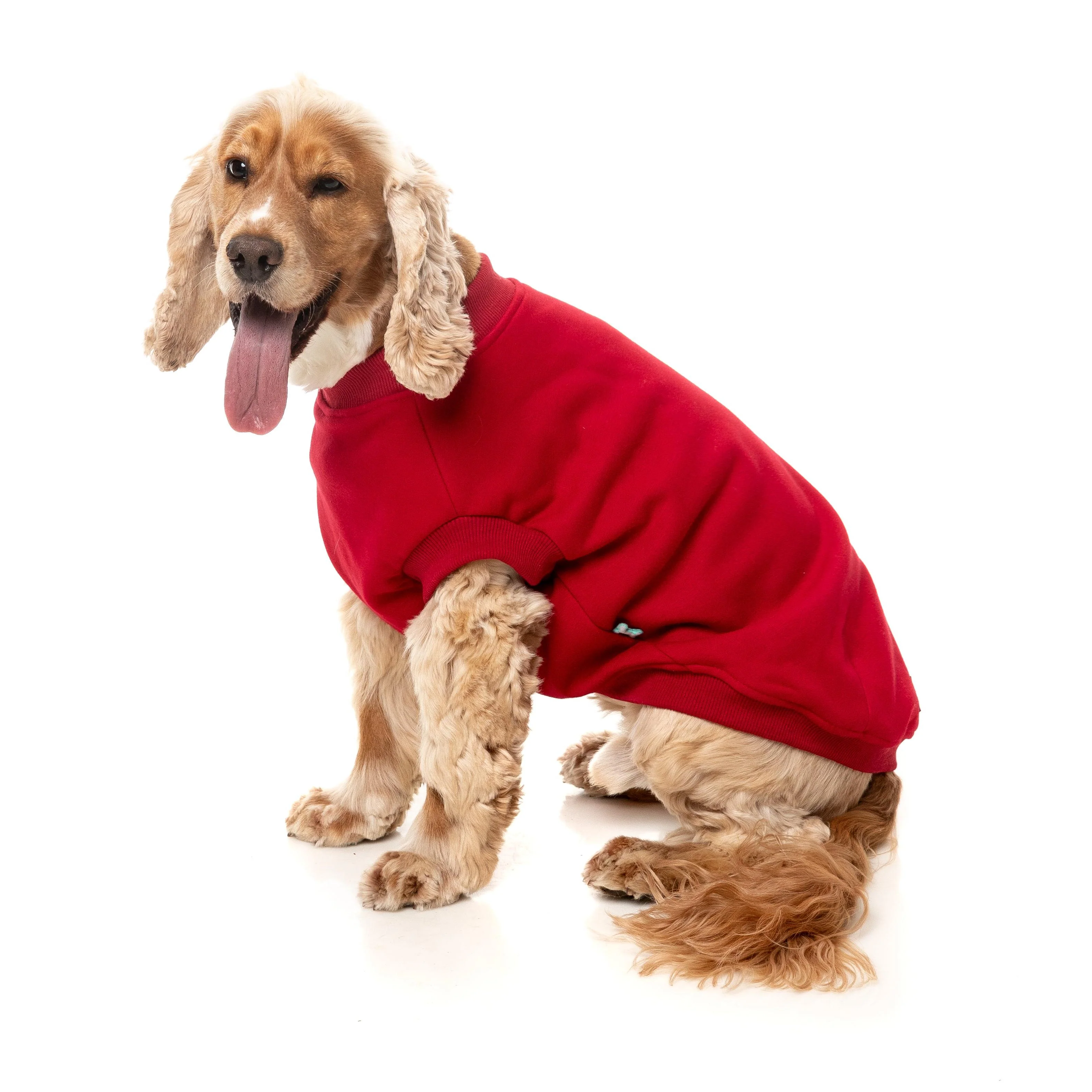 FuzzYard Dog Apparel Allday 25 Sweater Red Size 2 ^+^ - Image 4