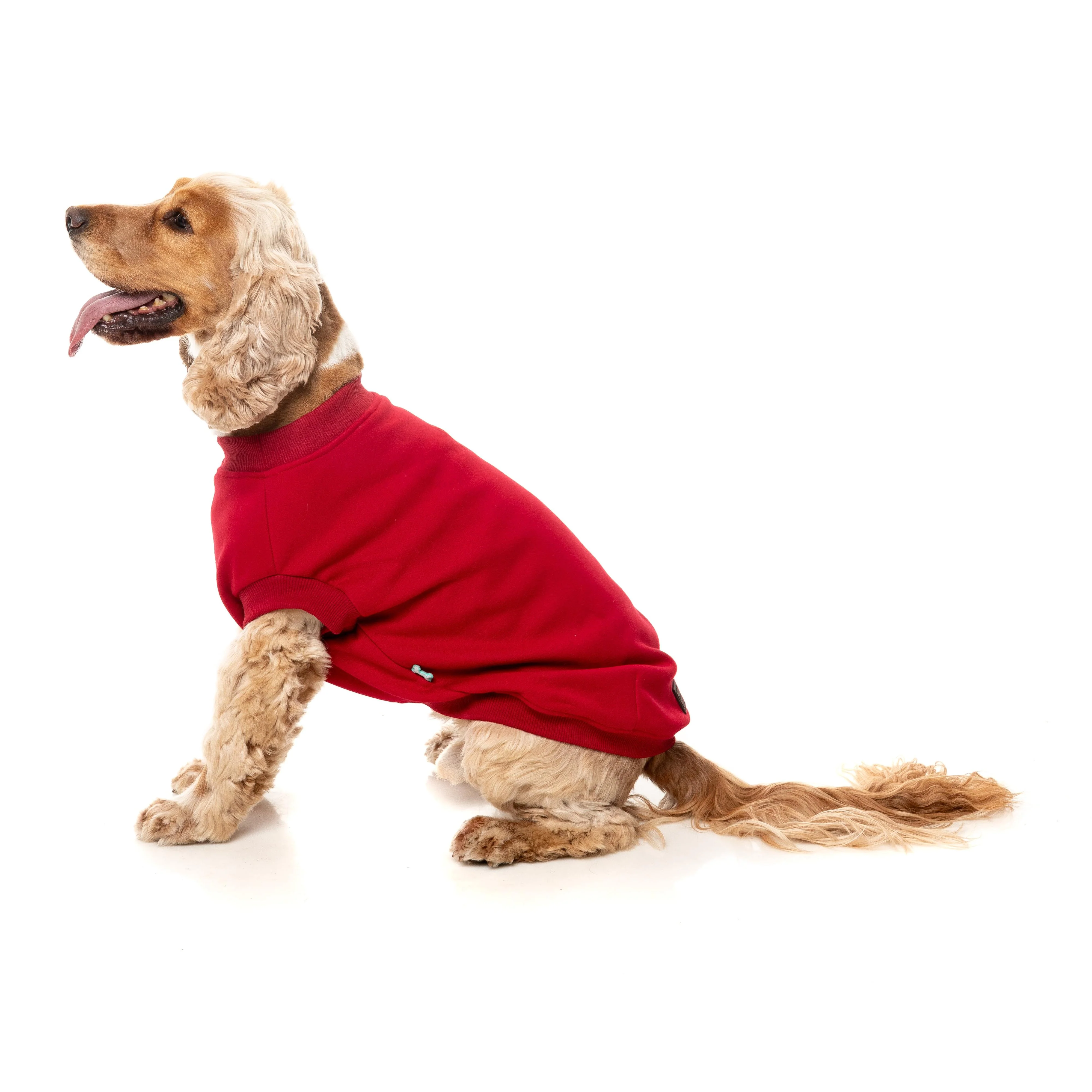 FuzzYard Dog Apparel Allday 25 Sweater Red Size 3 ^+^ - Image 6