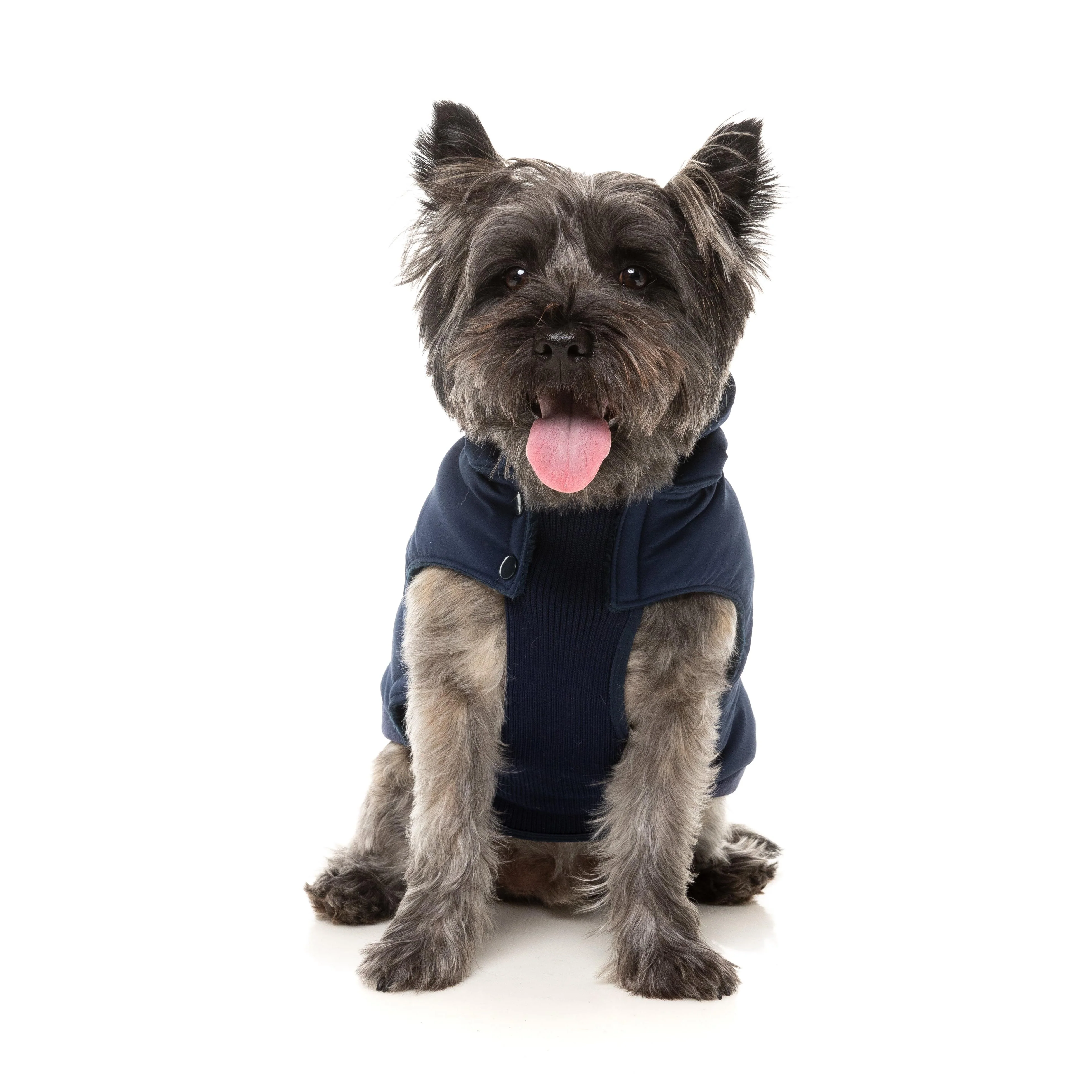 FuzzYard Dog Apparel Essential Padded Hooded Jacket Navy Size 7 - Image 6