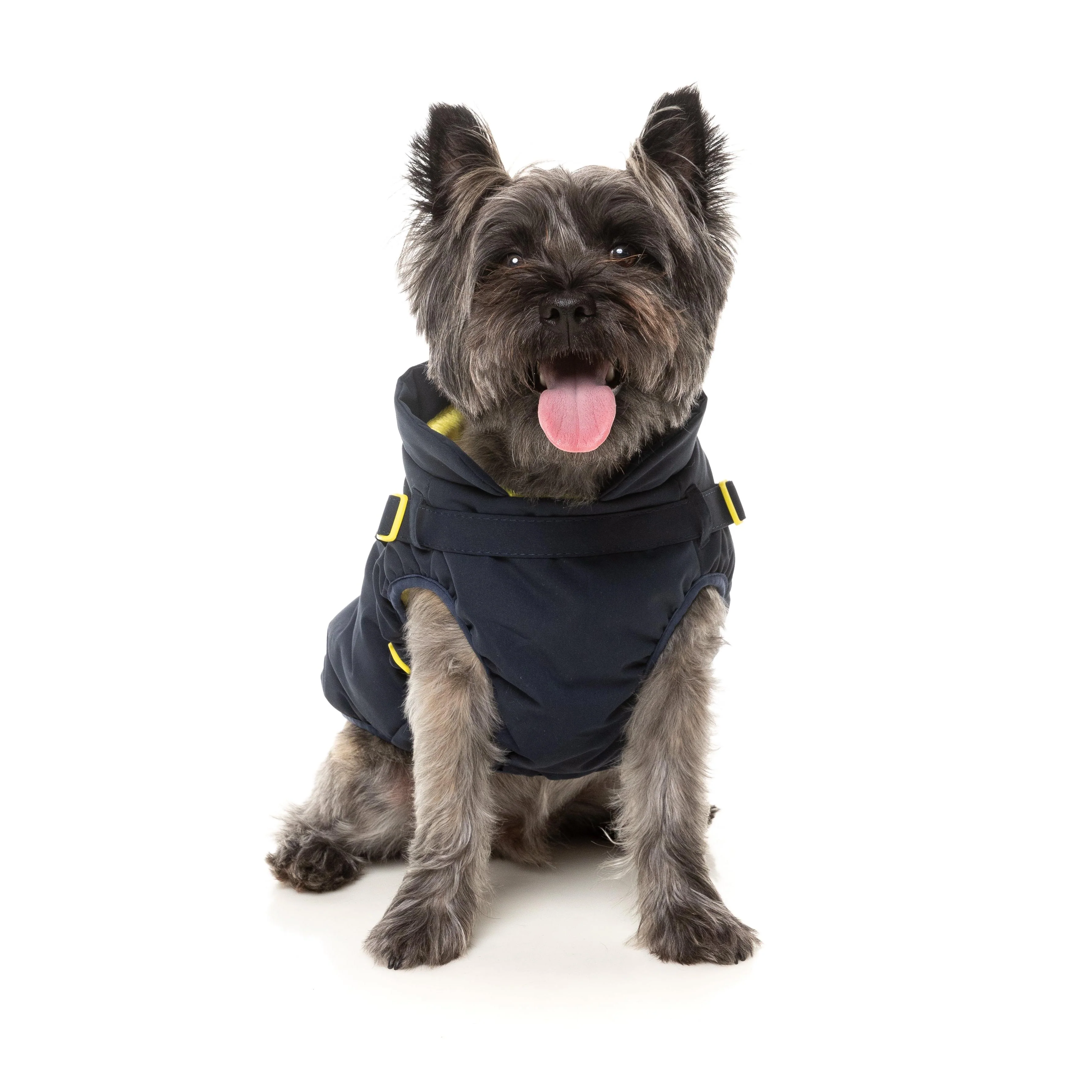 FuzzYard Dog Apparel Harness Jacket Horizon Navy Size 3 ^+^ - Image 2