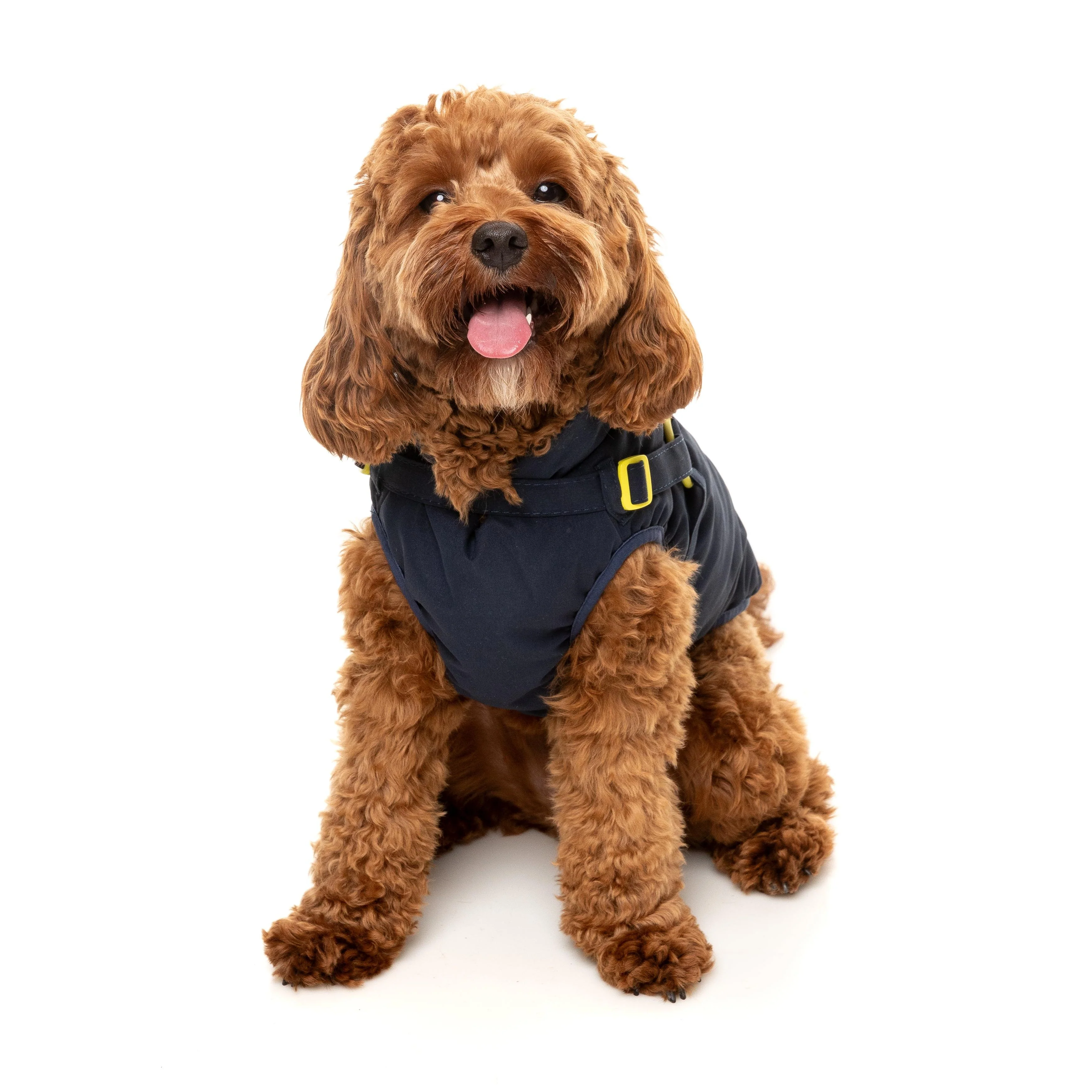 FuzzYard Dog Apparel Harness Jacket Horizon Navy Size 3 ^+^ - Image 4