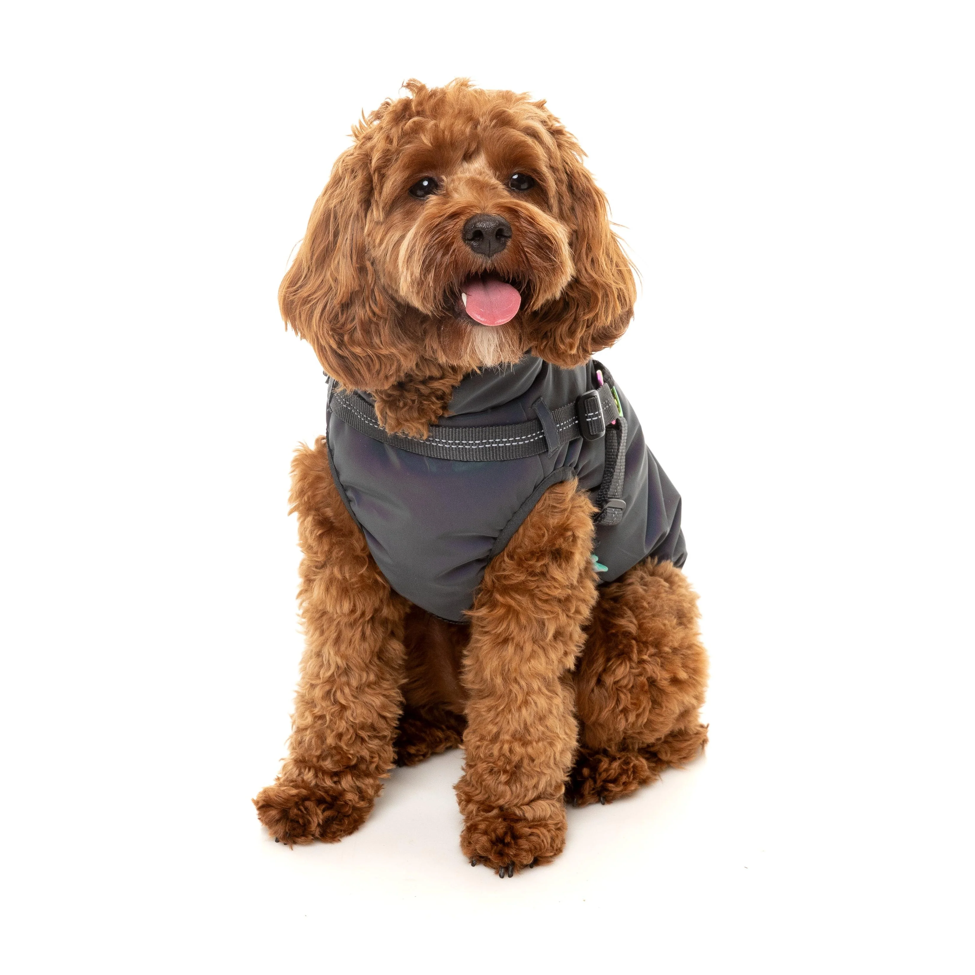 FuzzYard Dog Apparel Harness Jacket Reflective Flash Size 2 - Image 4