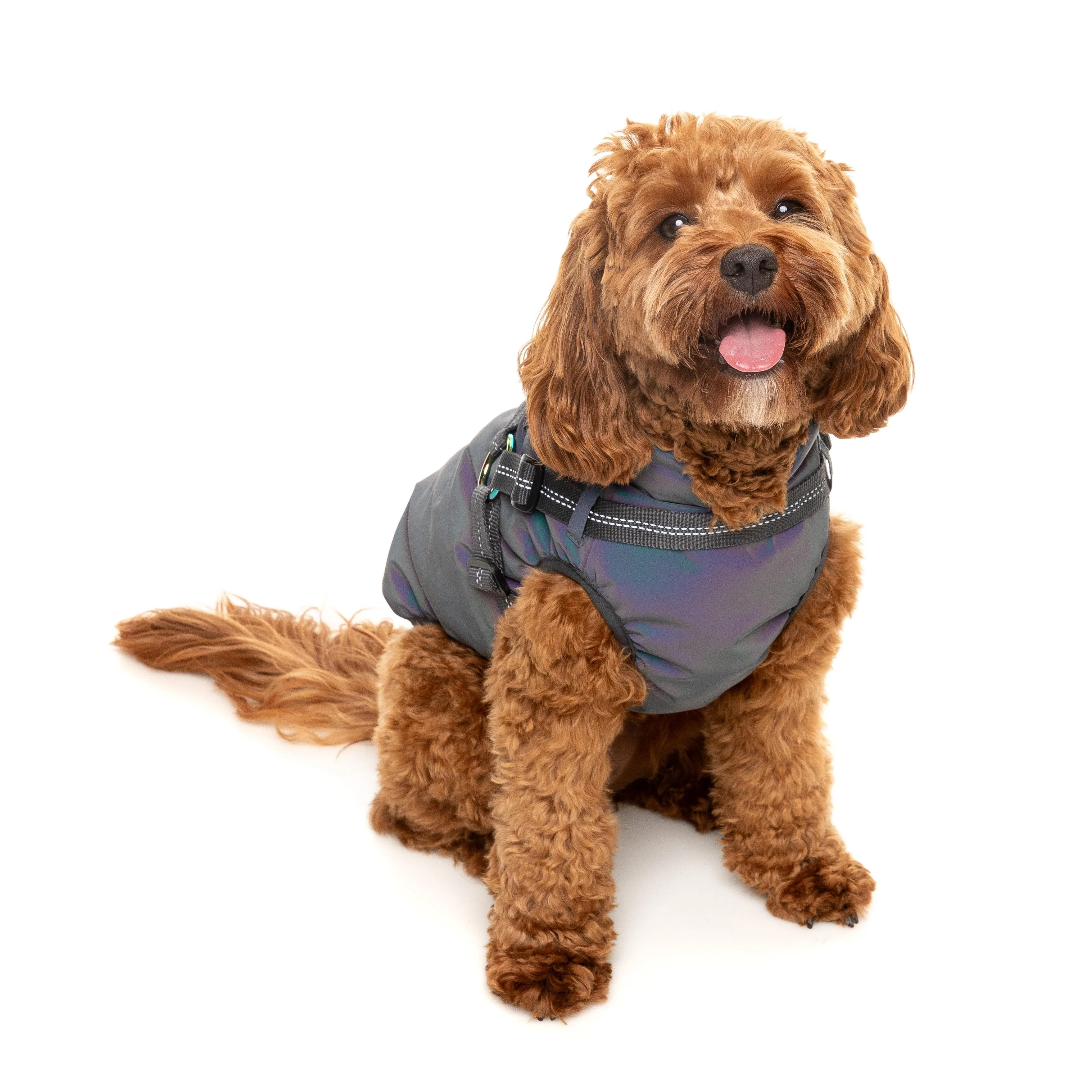 FuzzYard Dog Apparel Harness Jacket Reflective Flash Size 4 - Image 6