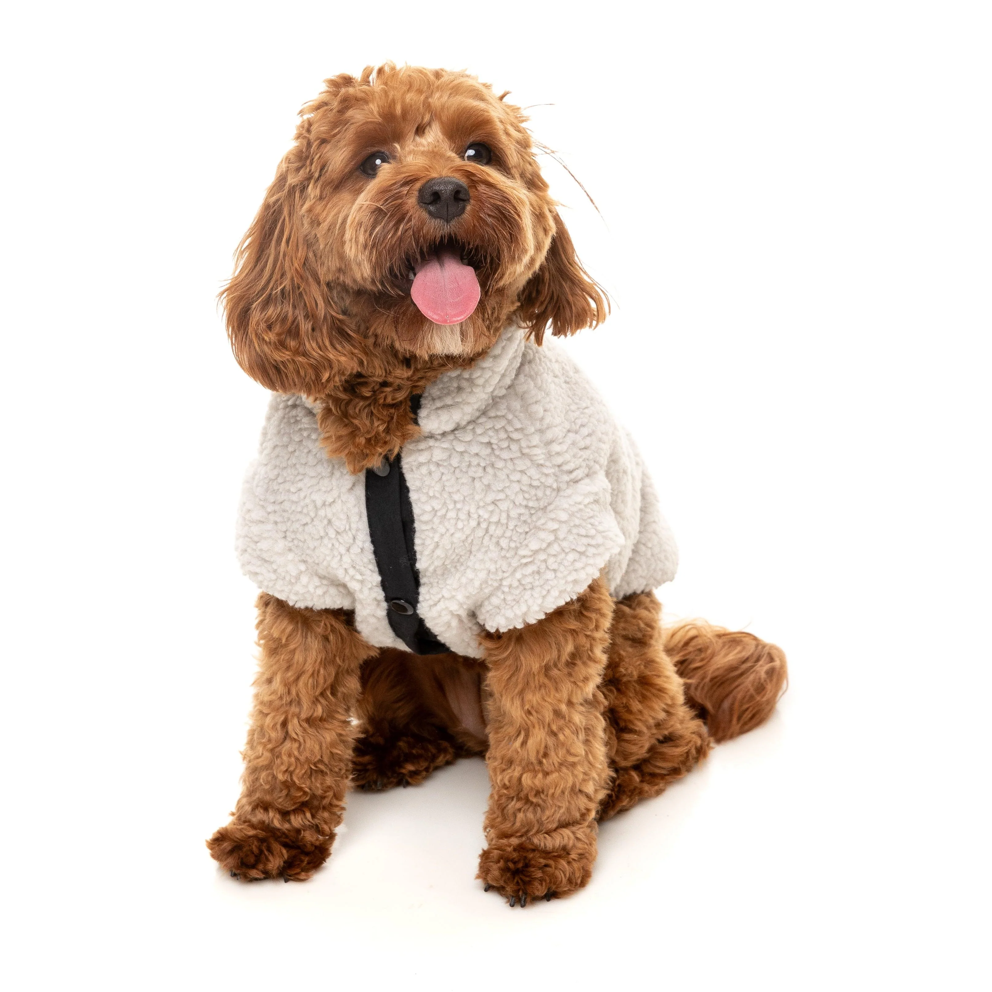 FuzzYard Dog Apparel Jacket Basecamp Stone Size 6 ^+^ - Image 3