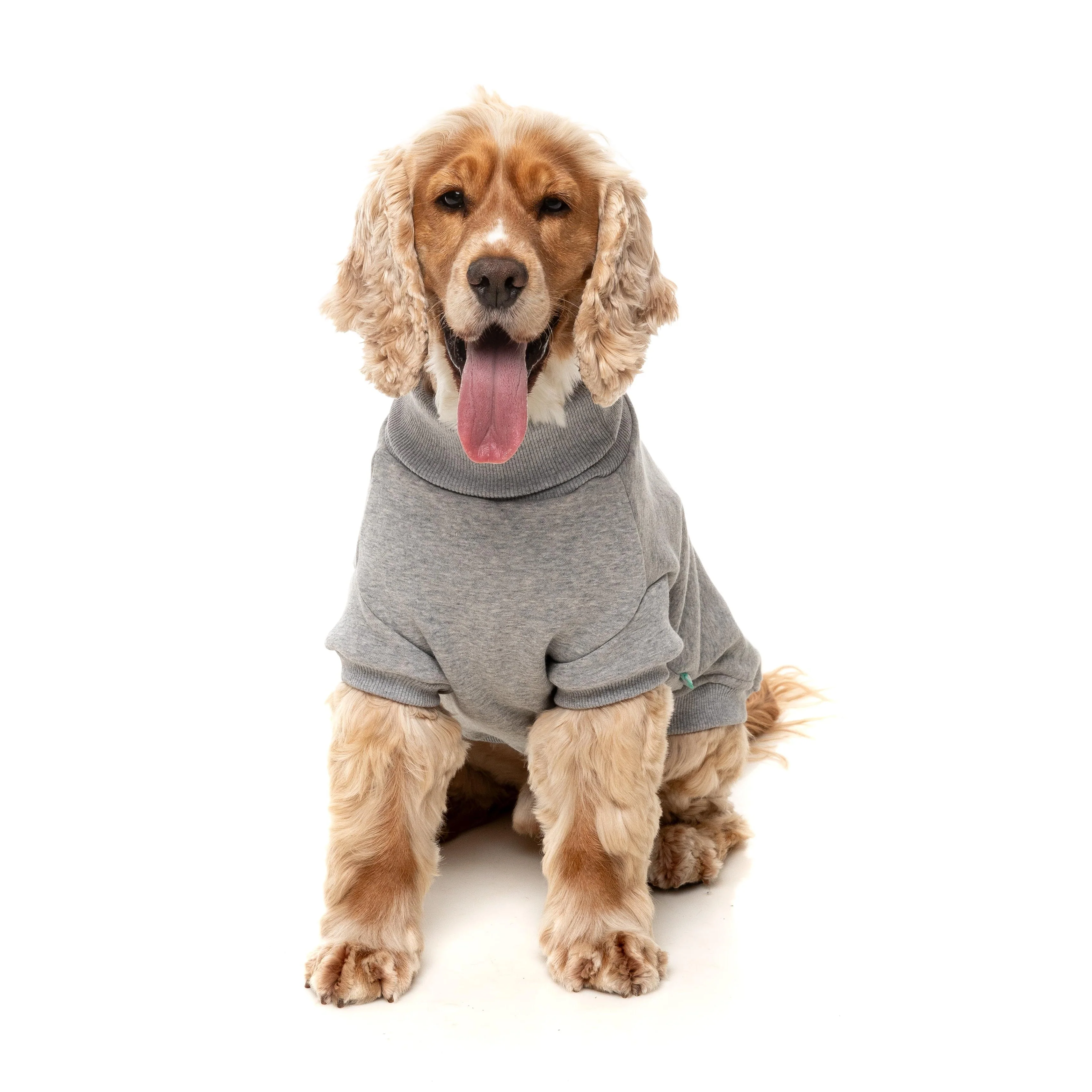 FuzzYard Dog Apparel Stevie 25 Sweater Grey Size 6 ^+^ - Image 6