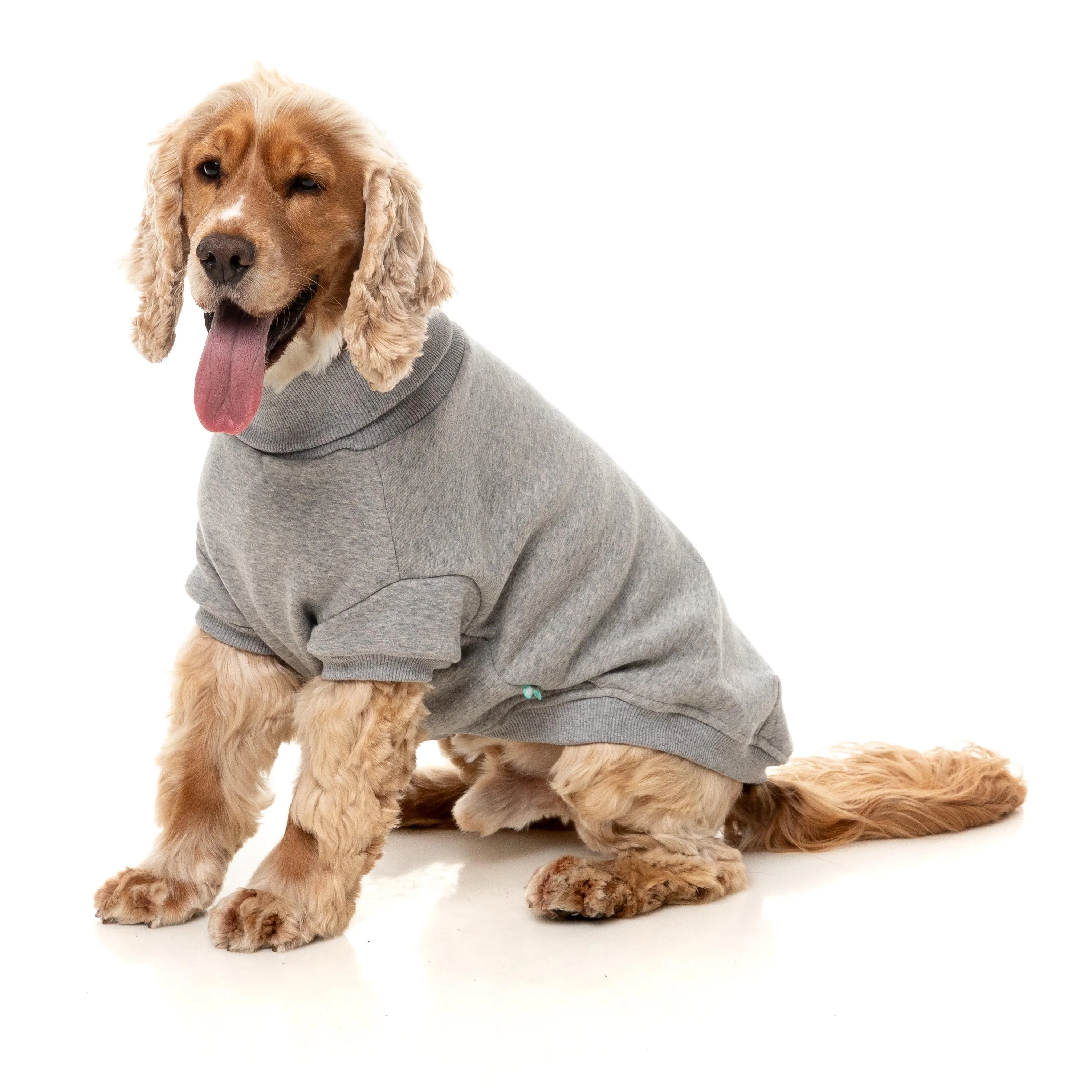 FuzzYard Dog Apparel Stevie 25 Sweater Grey Size 7 ^+^ - Image 5