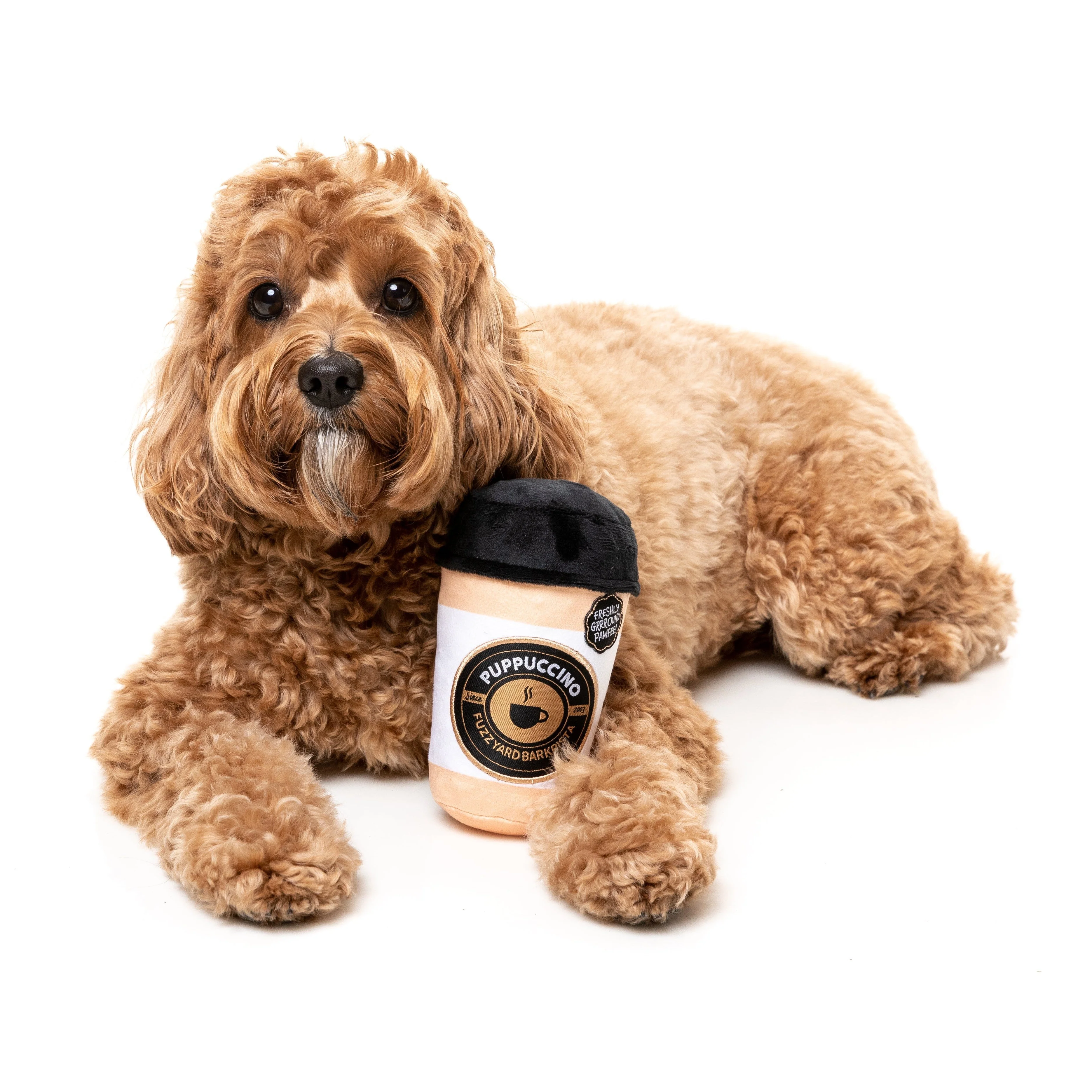 Fuzzyard Dog Toy Barkrista Puppuccino - Image 2