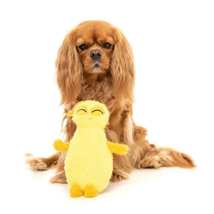 FuzzYard Dog Toy Belly the Yellow Bed Bug - Image 2