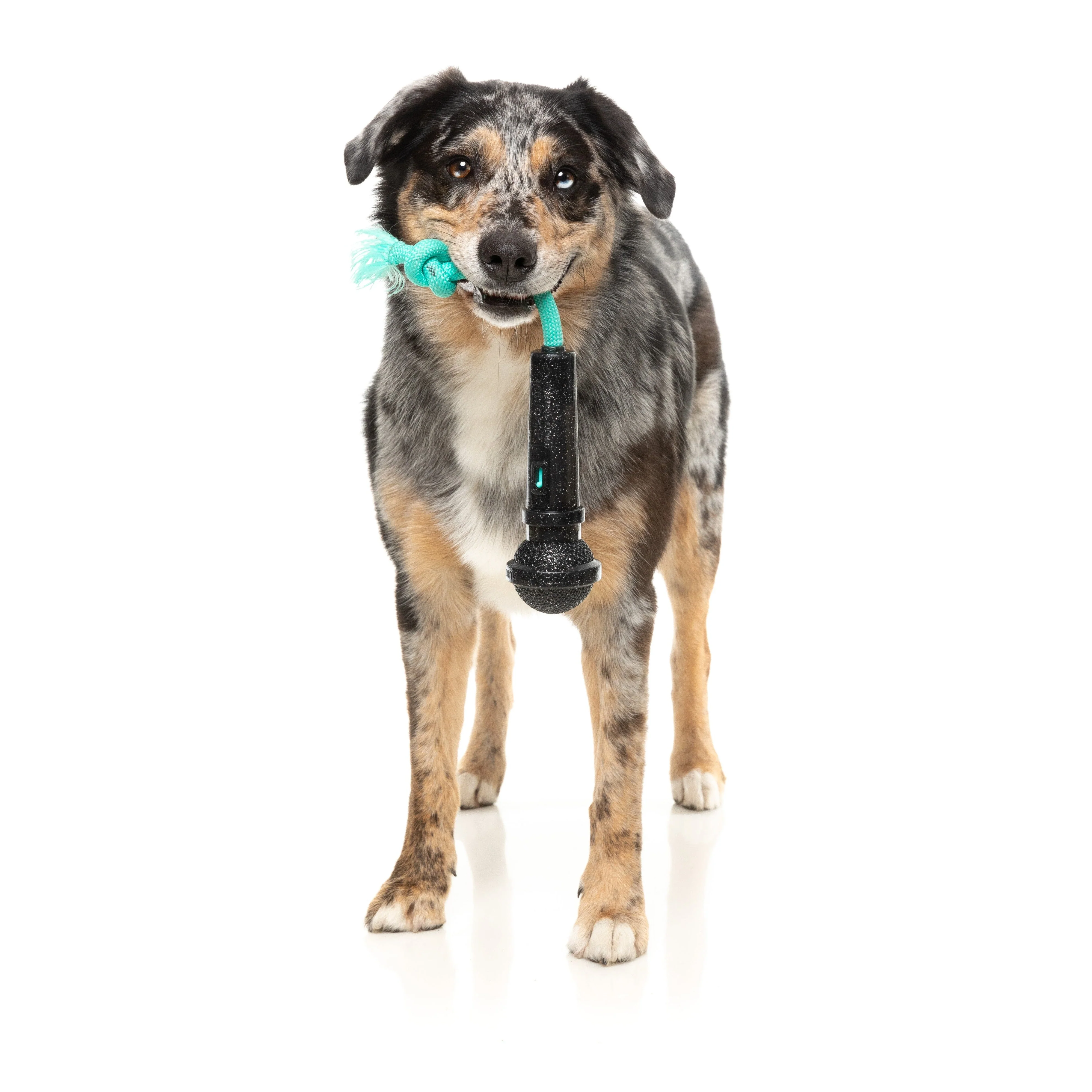Fuzzyard Dog Toy Mic Drop - Image 4