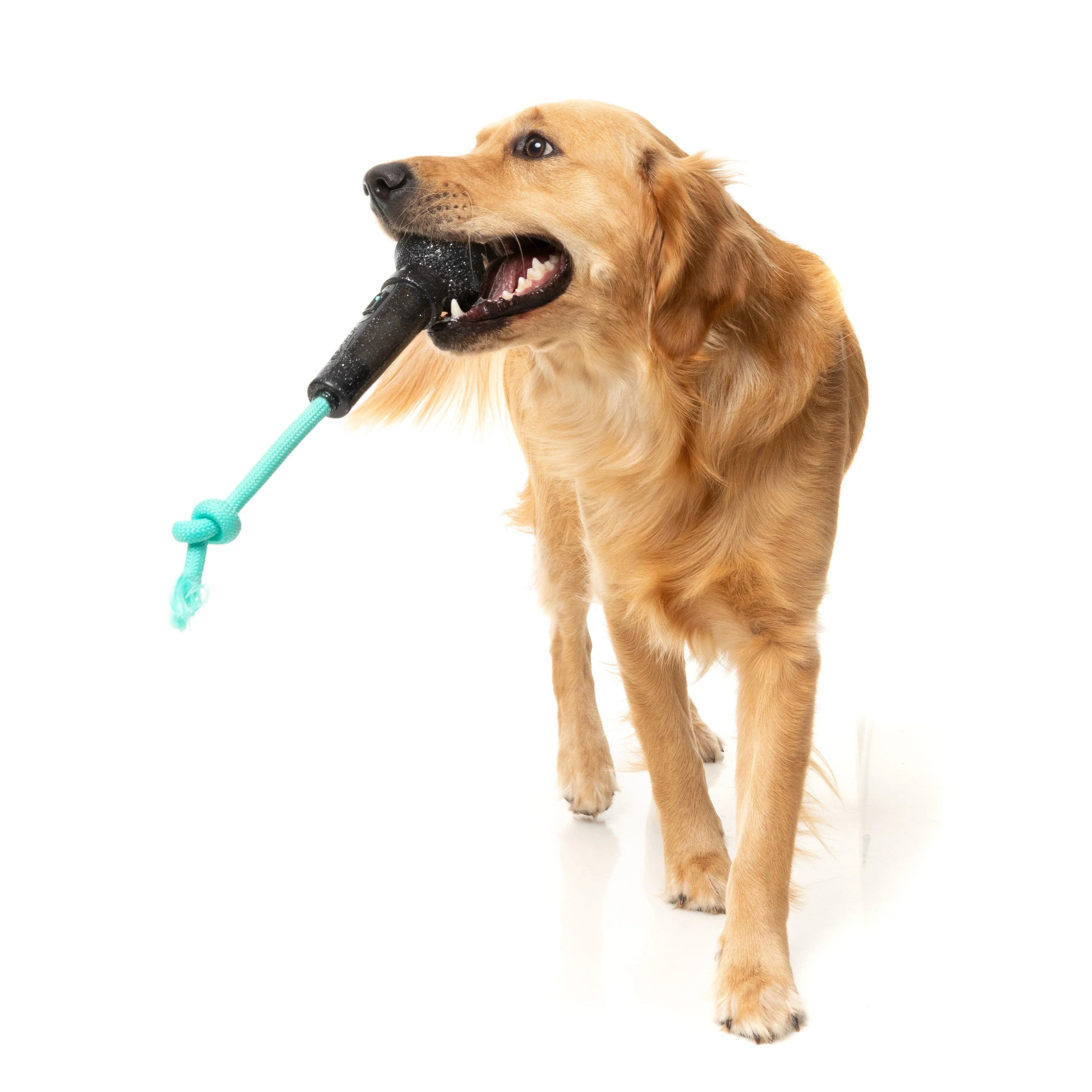 Fuzzyard Dog Toy Mic Drop - Image 6