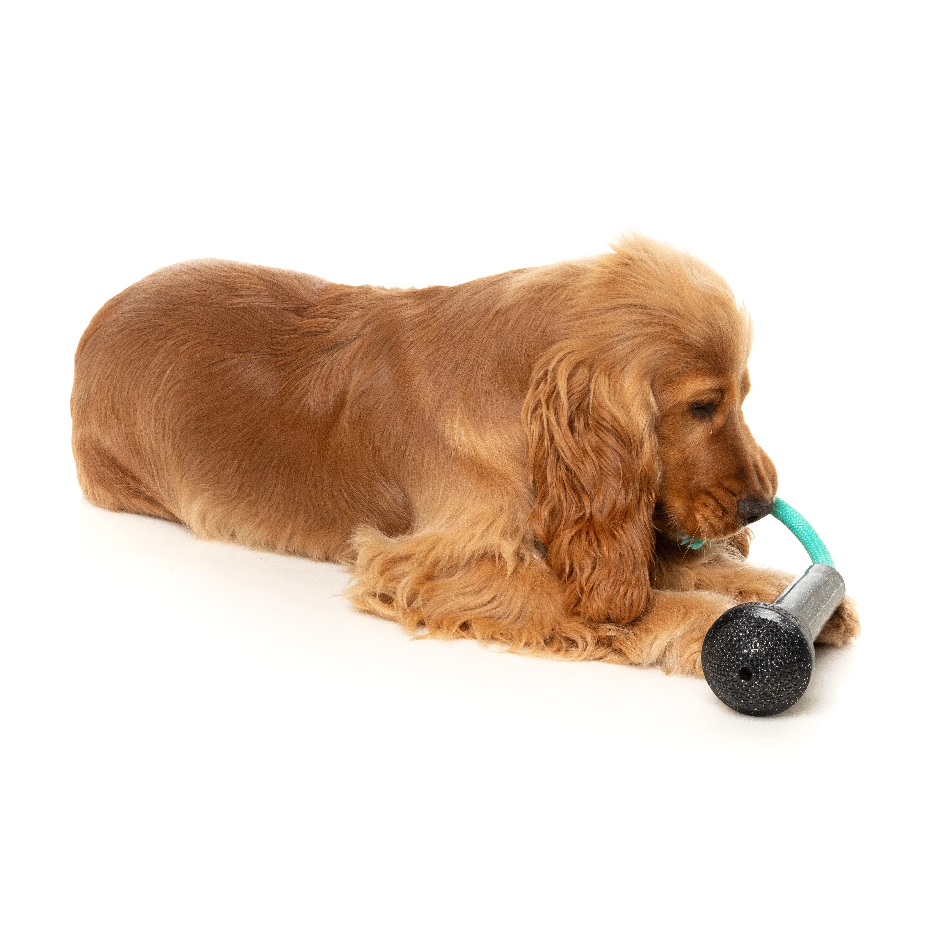 Fuzzyard Dog Toy Mic Drop - Image 7